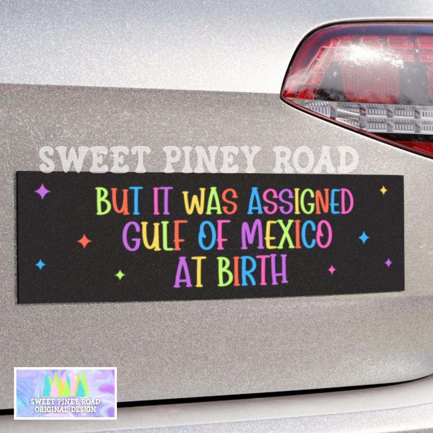 Gulf Of Mexico Car Magnet, Anti Trump Bumper Sticker, But It Was Assigned At Birth Decal, Resist FDT Gift, Funny LGBTQIA+ Political Humor