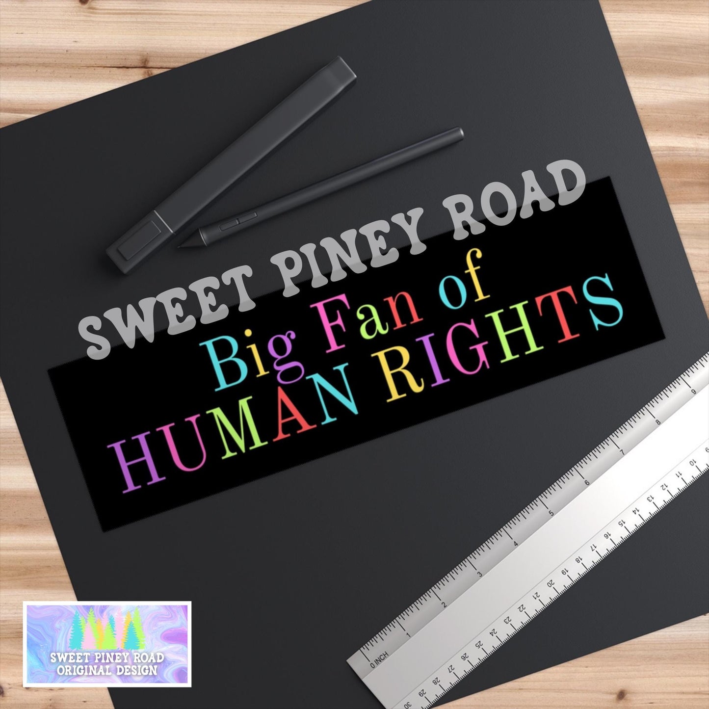 Big Fan of Human Rights Car Magnet Retro Political Bumper Sticker Abolish Ice Progressive Equality & Social Justice Democrat Gift Activist