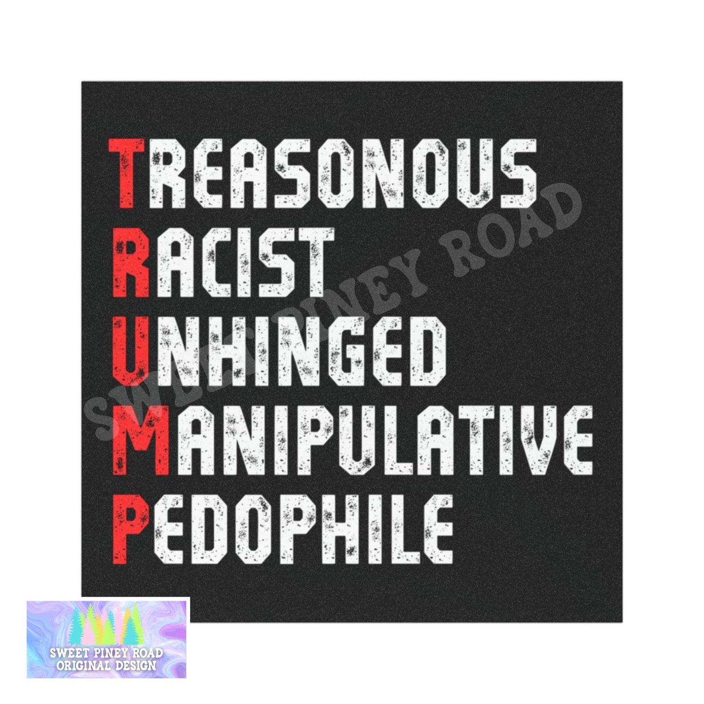 Anti Trump Car Magnet, FDT Bumper Sticker, Epstein Files He's On The List Decal, Abolish ICE Protest, Funny Political Sticker For Leftist