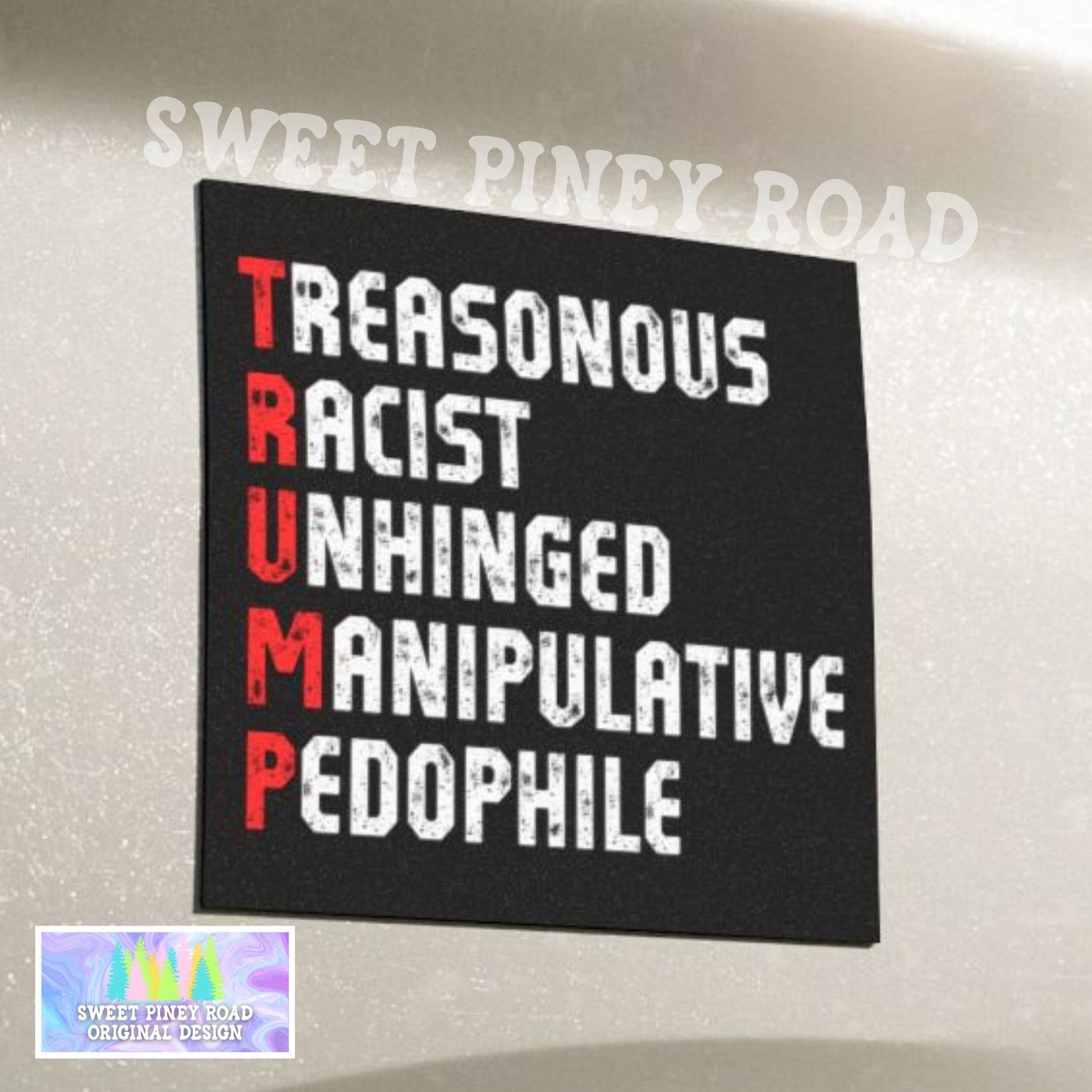 Anti Trump Car Magnet, FDT Bumper Sticker, Epstein Files He's On The List Decal, Abolish ICE Protest, Funny Political Sticker For Leftist