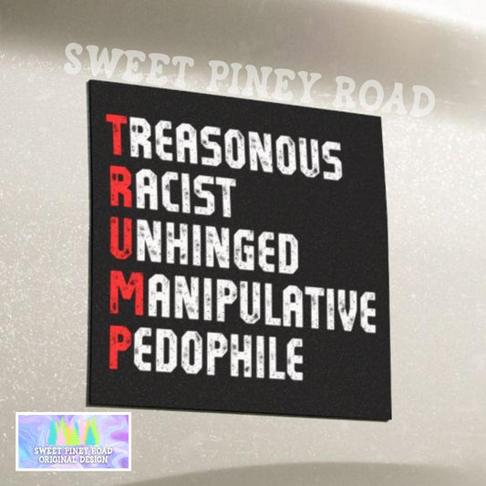 Anti Trump Car Magnet, FDT Bumper Sticker, Epstein Files He's On The List Decal, Abolish ICE Protest, Funny Political Sticker For Leftist