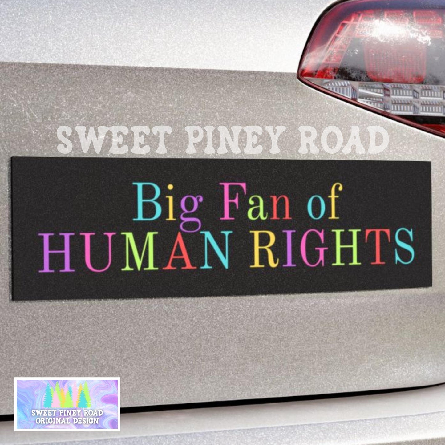 Big Fan of Human Rights Car Magnet Retro Political Bumper Sticker Abolish Ice Progressive Equality & Social Justice Democrat Gift Activist
