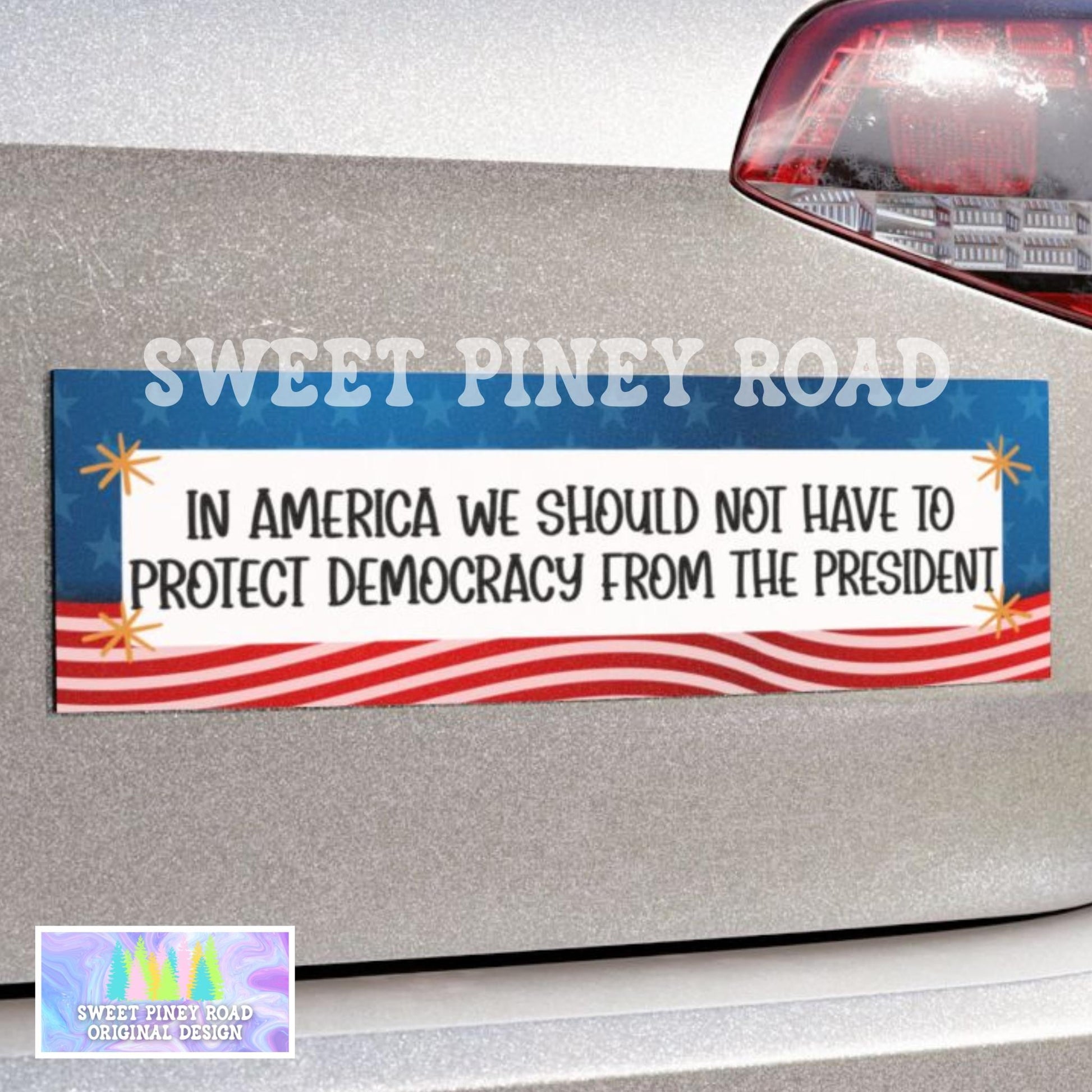 Protect Democracy Car Magnet, No Kings Bumper Sticker, Anti-Trump FDT, Political Activist Decal, Rally Resist Fascism Protest Freedom Speech