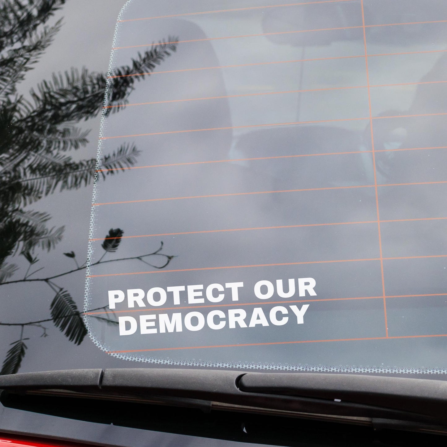 Protect Our Democracy Vinyl Window Decal, Resist Fascism, Anti Trump Anti MAGA Car Cling, Constitution Sticker Laptop Decal Activist Gift