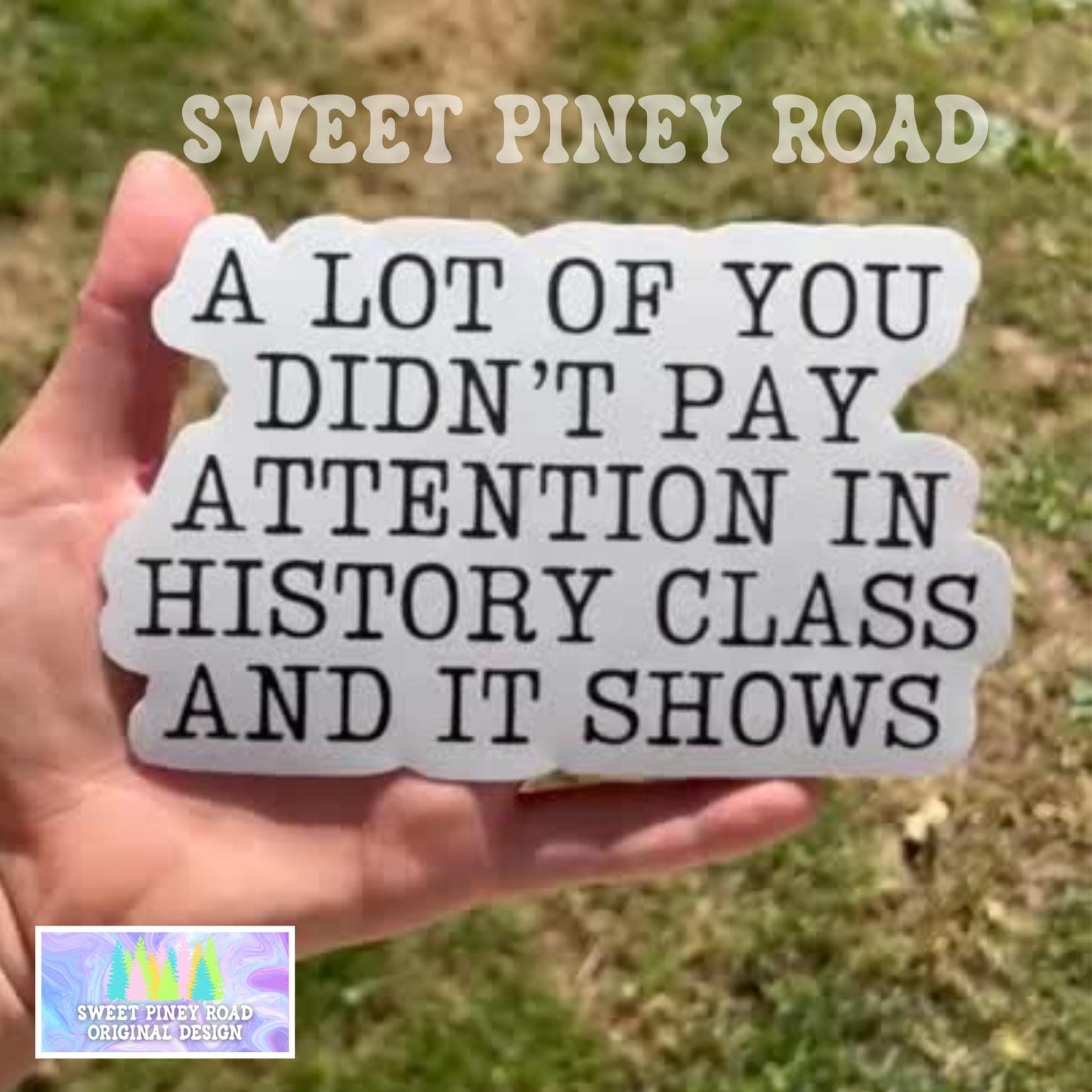 Didn't Pay Attention In History Class Car Decal, Anti MAGA Bumper Sticker, Progressive Liberal Feminist, Political Leftist Pro-Democracy