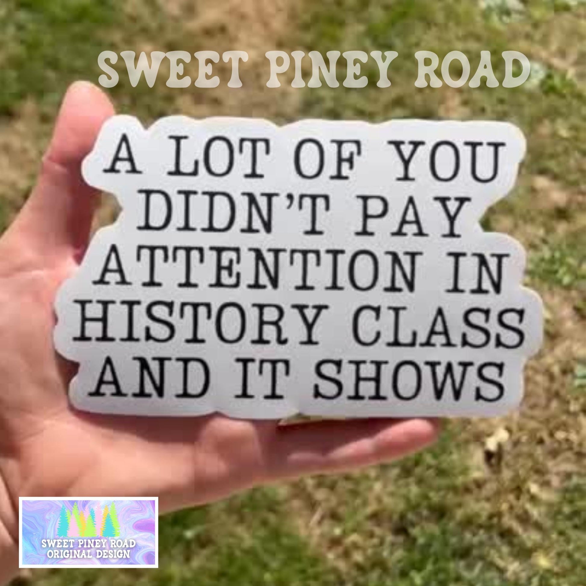 Didn't Pay Attention In History Class Car Decal, Anti MAGA Bumper Sticker, Progressive Liberal Feminist, Political Leftist Pro-Democracy