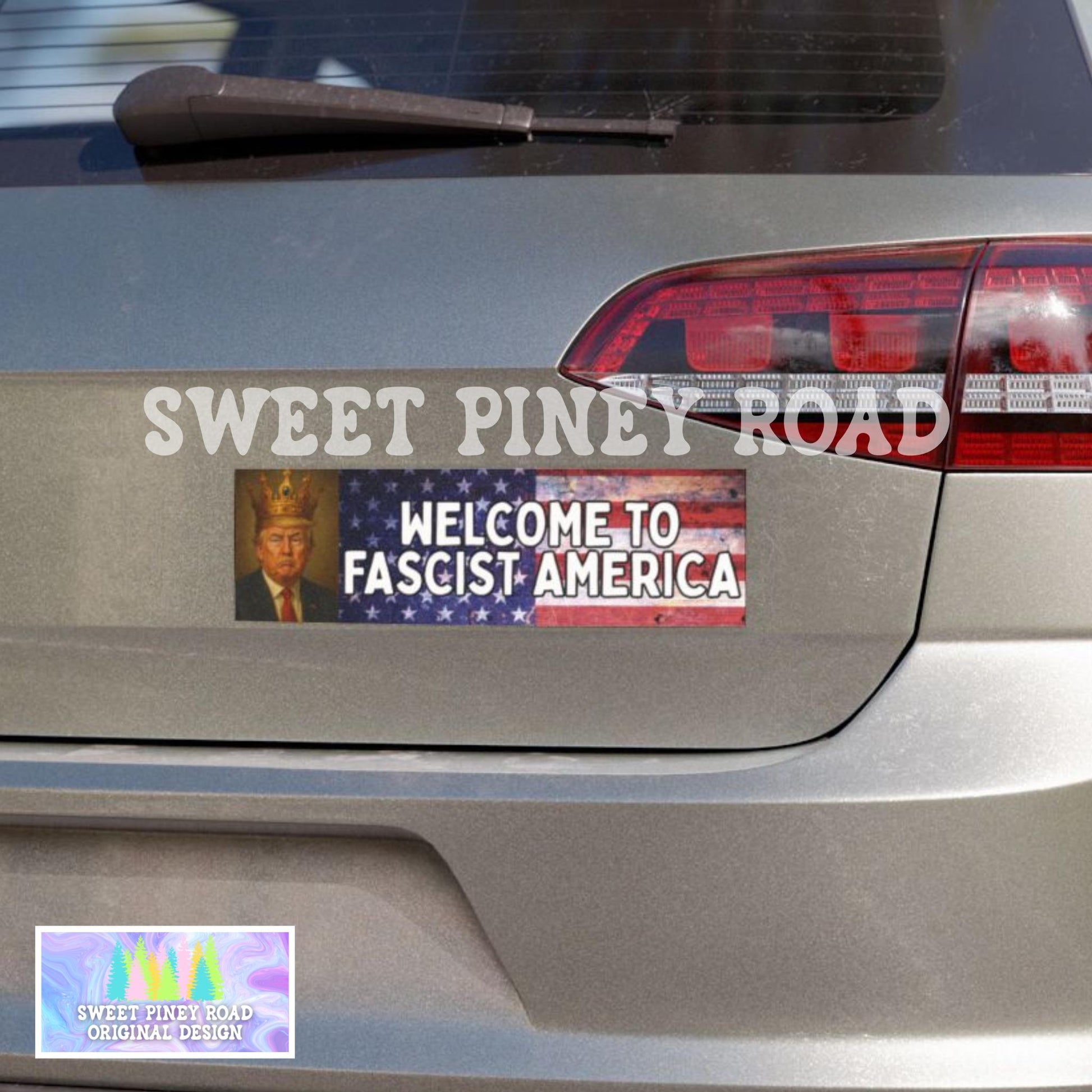 No Kings Protest Car Magnet, Protect Democracy, Anti Trump Bumper Sticker, Political Activist Rally Decal, Resist Fascism Activist Feminist