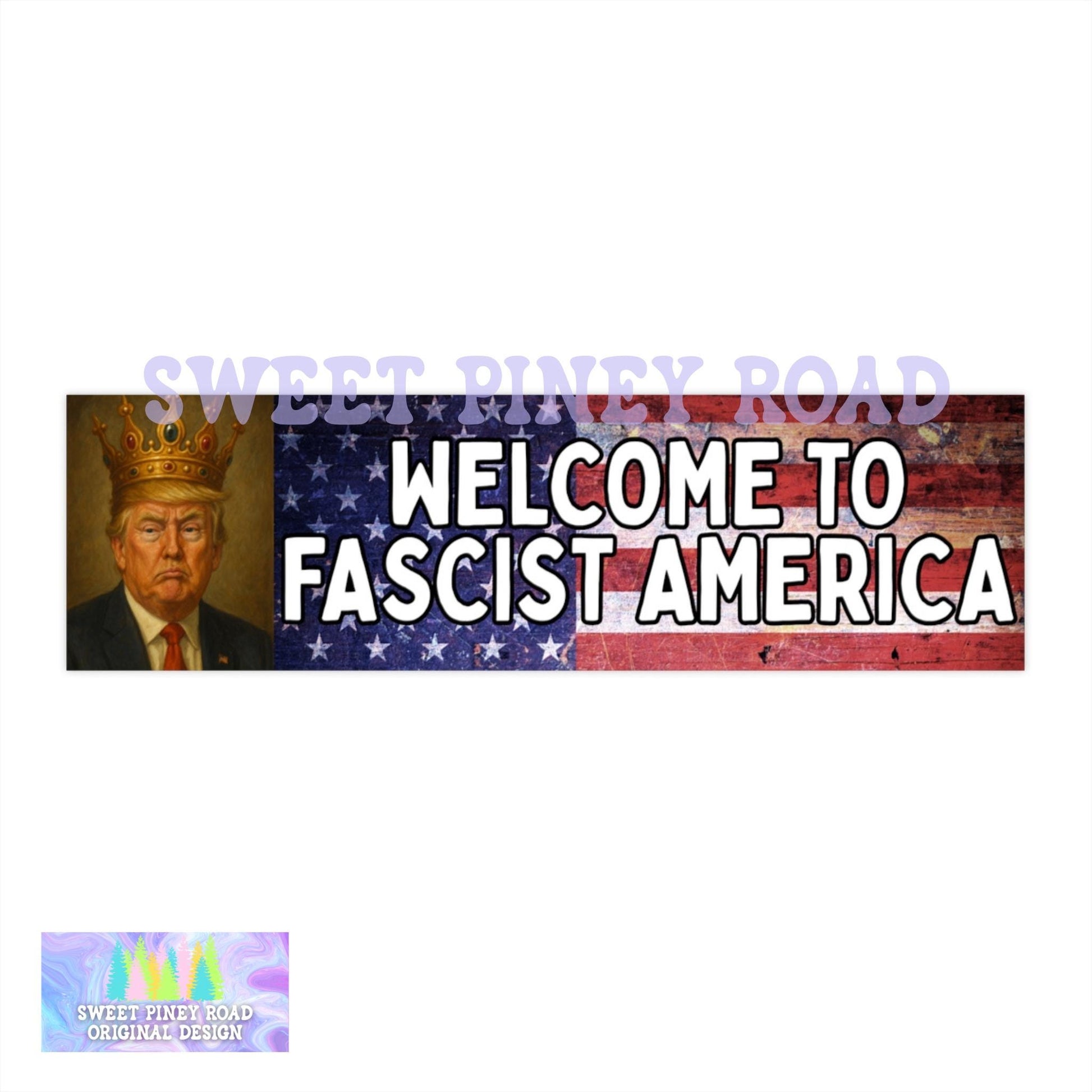 No Kings Protest Car Magnet, Protect Democracy, Anti Trump Bumper Sticker, Political Activist Rally Decal, Resist Fascism Activist Feminist