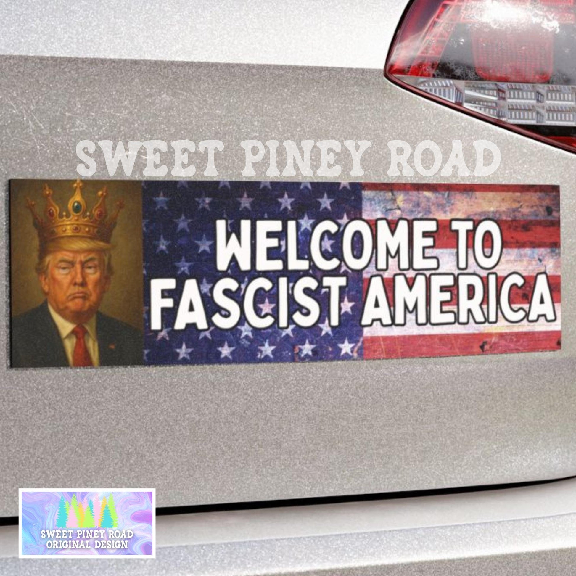 No Kings Protest Car Magnet, Protect Democracy, Anti Trump Bumper Sticker, Political Activist Rally Decal, Resist Fascism Activist Feminist