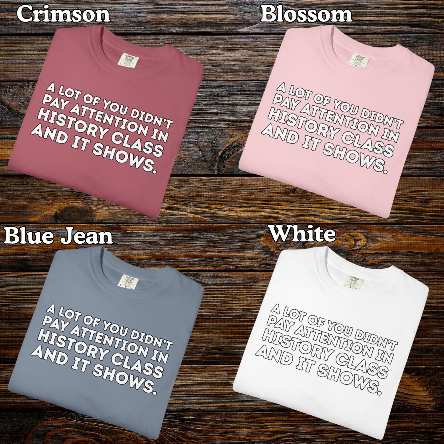 Didn't Pay Attention In History Class T Shirt, Anti MAGA Trump Tee, Progressive Liberal Feminist Tshirt, Political Leftist Shirt, FDT Gift