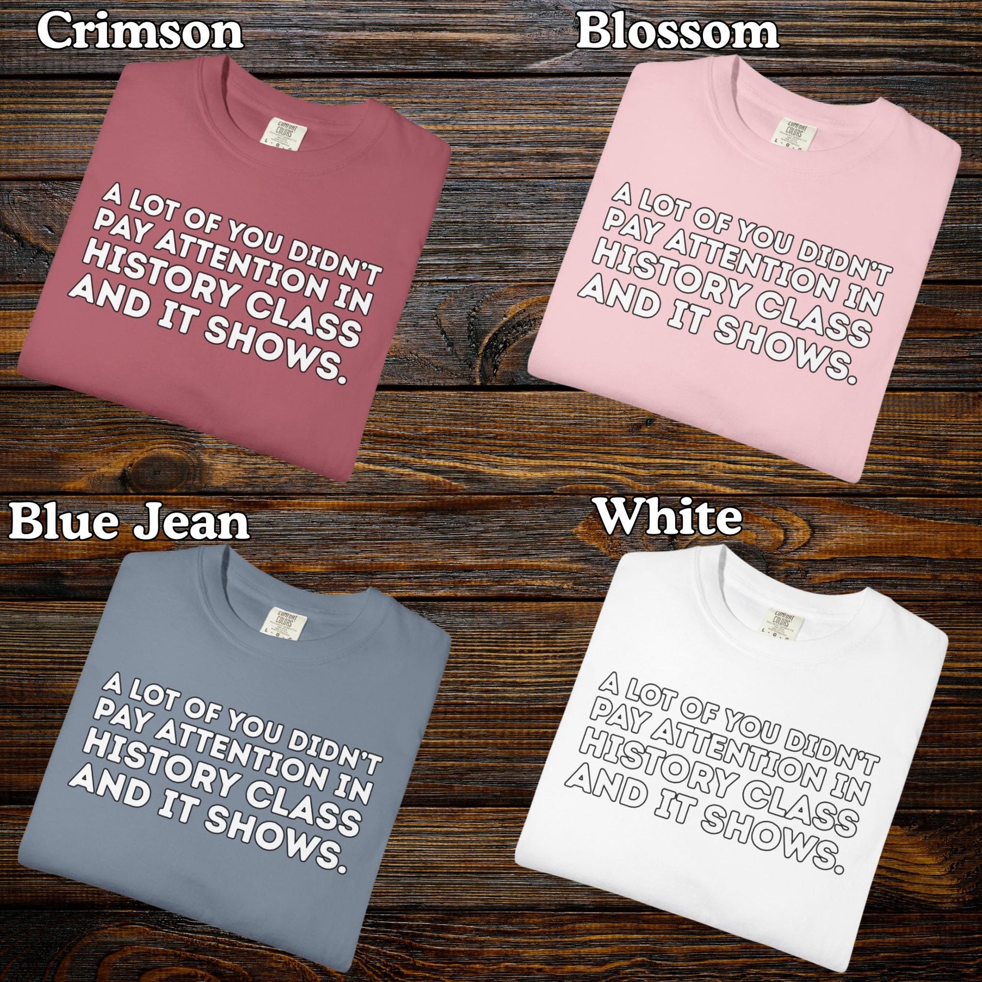 Didn't Pay Attention In History Class T Shirt, Anti MAGA Trump Tee, Progressive Liberal Feminist Tshirt, Political Leftist Shirt, FDT Gift