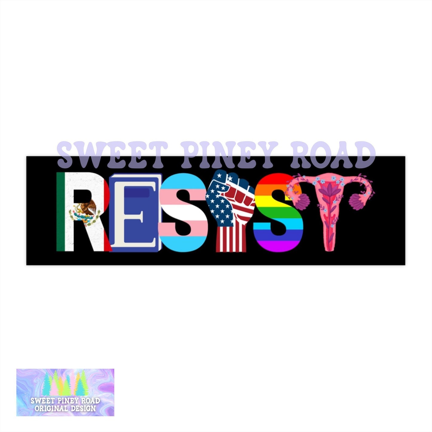 Resist Anti Trump Car Magnet, FDT Bumper Sticker, Not My President, Protect Immigrants, Equality LGBTQ Immigration, Chinga La Migra Feminist