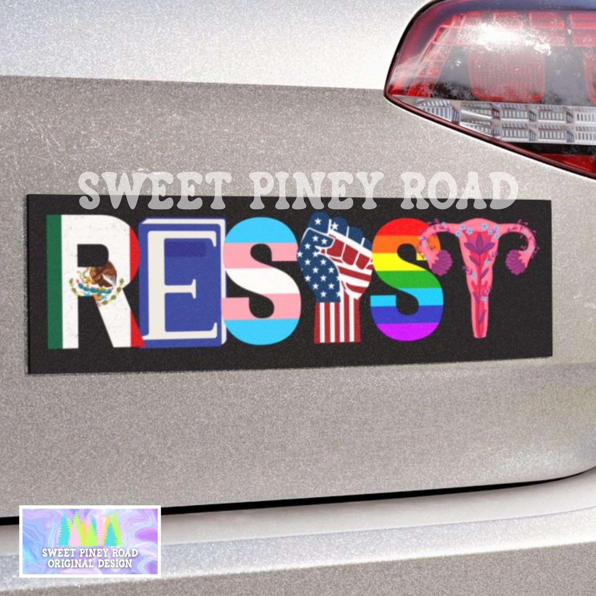 Resist Anti Trump Car Magnet, FDT Bumper Sticker, Not My President, Protect Immigrants, Equality LGBTQ Immigration, Chinga La Migra Feminist
