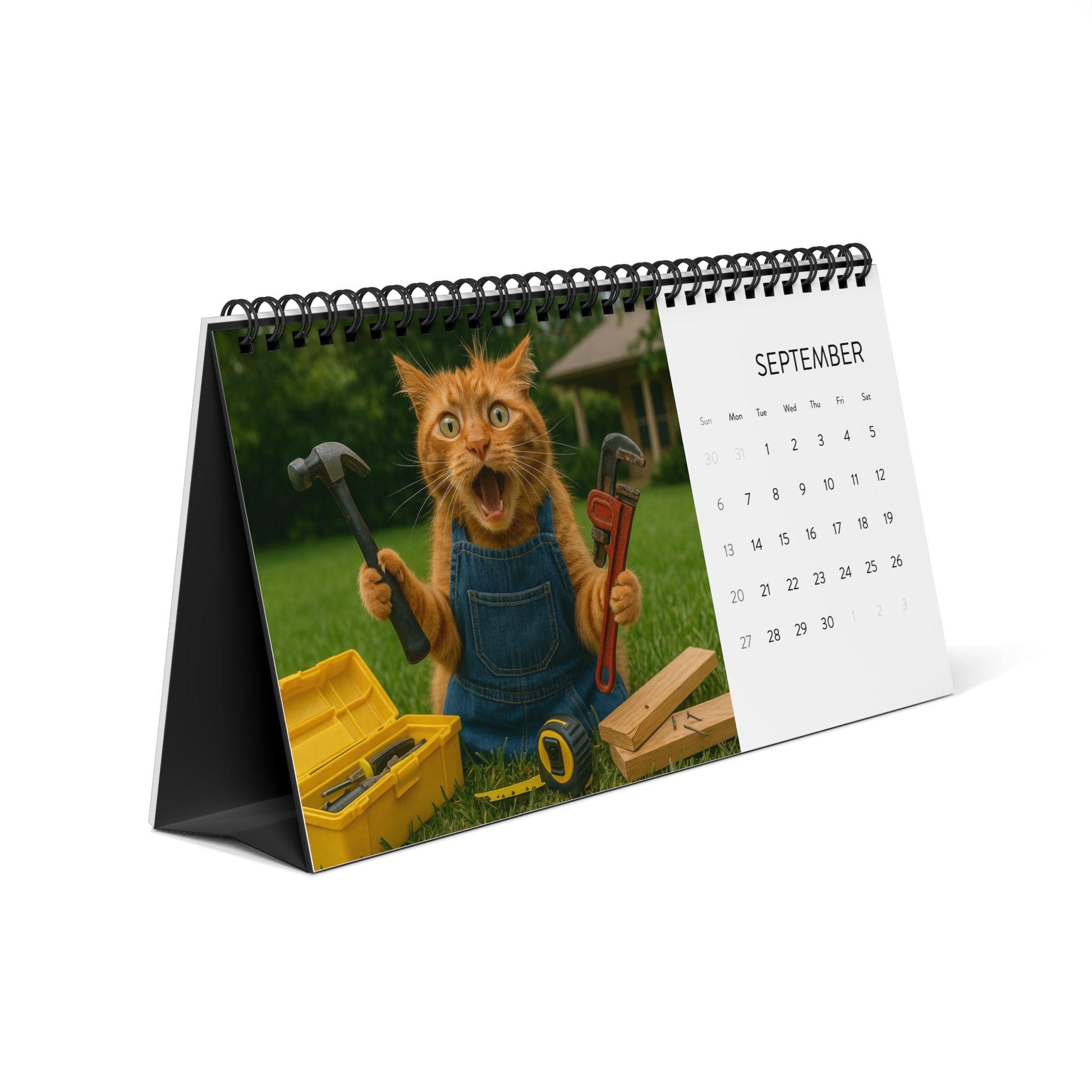 Orange Cat 2026 Desktop Calendar, Funny Cat Mom Gift, Hilarious Witty Kitty Calendar Christmas Gift, Unhinged Adult Humor Kitten Lover Decor