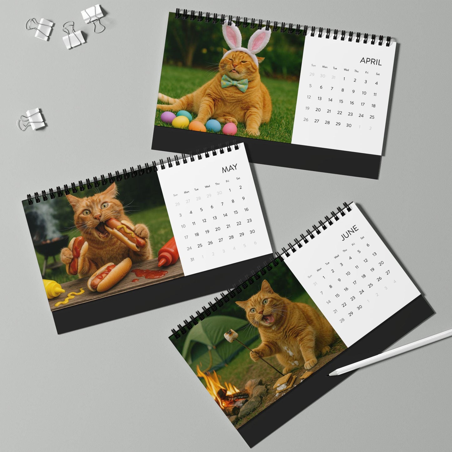 Orange Cat 2026 Desktop Calendar, Funny Cat Mom Gift, Hilarious Witty Kitty Calendar Christmas Gift, Unhinged Adult Humor Kitten Lover Decor