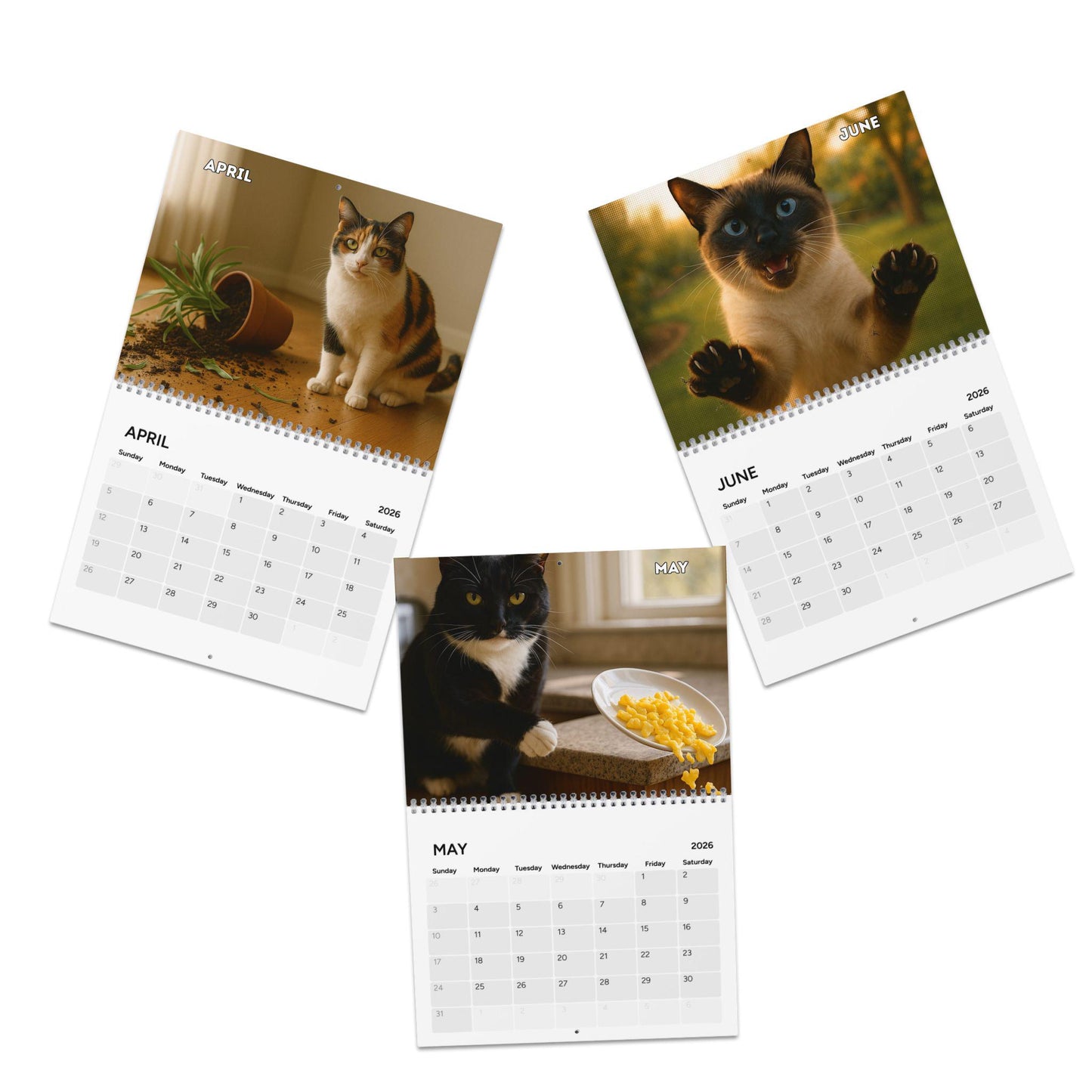 Naughty Cat Wall Calendar 2026, Christmas Gift Cat Mom Gag Gift Funny Weird Gifts White Elephant Secret Santa Kitty Office Decor Hilarious