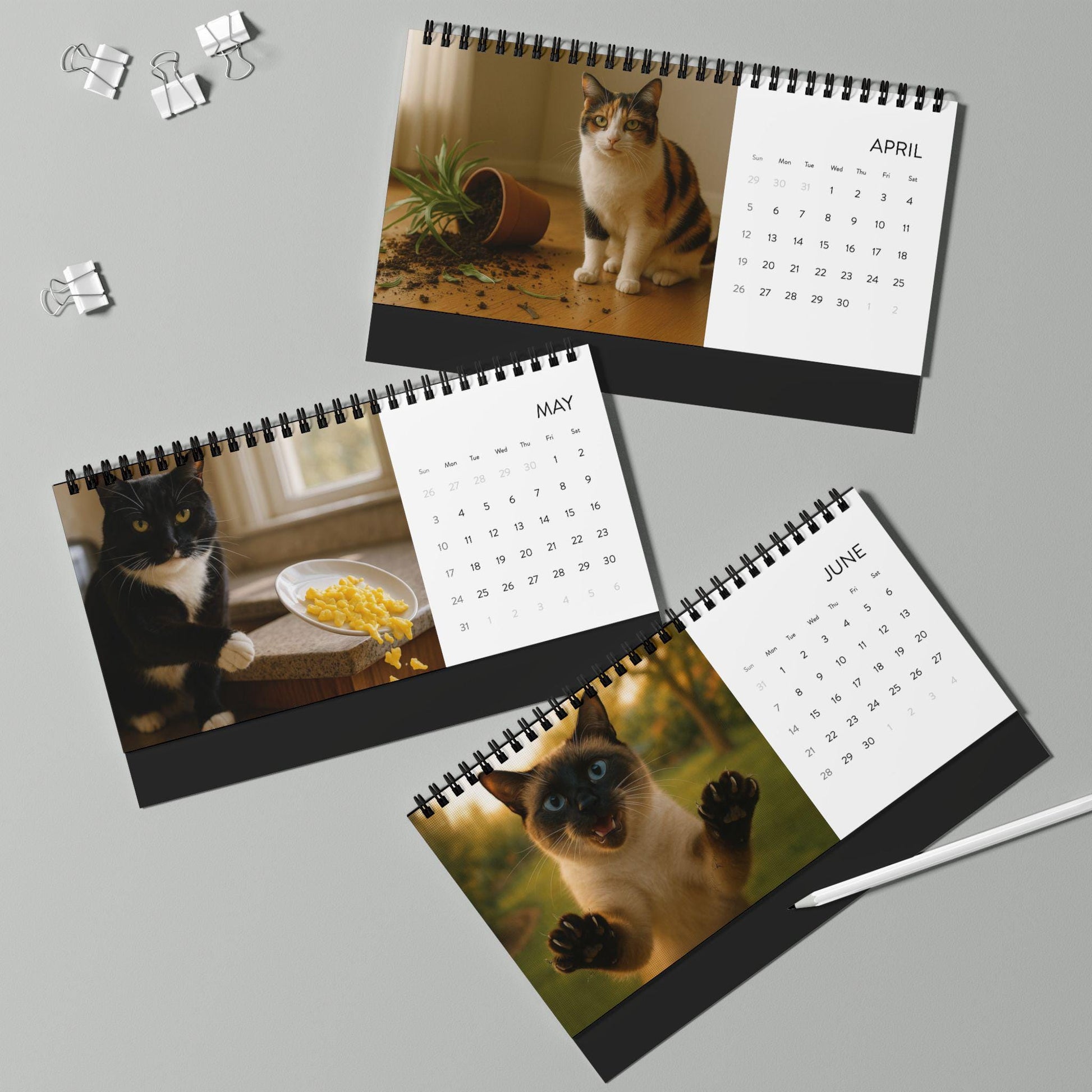 Naughty Cat Wall Calendar 2026, Christmas Gift Cat Mom Gag Gift Funny Weird Gifts White Elephant Secret Santa Kitty Office Decor Hilarious