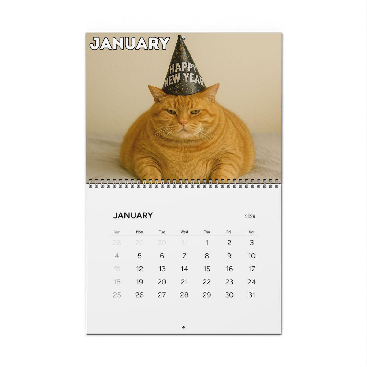 Orange Cat 2026 Wall Calendar, Funny Cat Mom Gift, Hilarious Witty Kitty Calendar, Christmas Gift, Unhinged Adult Humor, Kitten Lover Decor