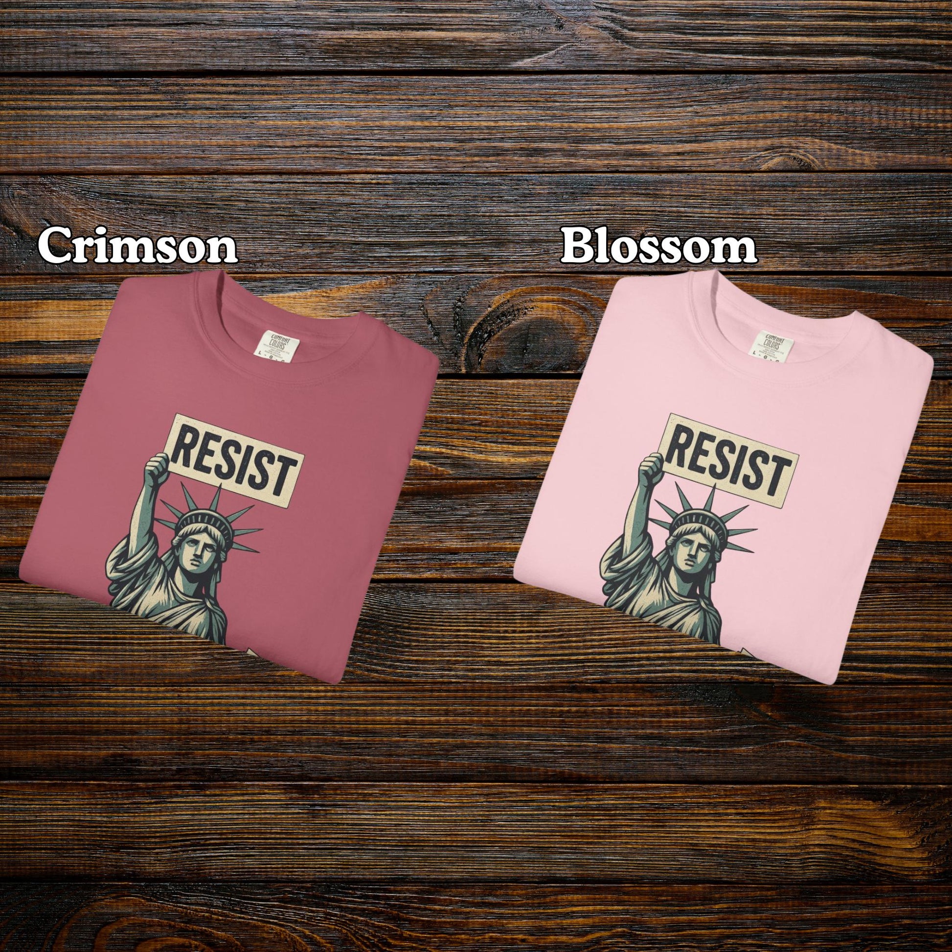Resist Hands Off Lady Liberty Shirt, Anti Trump Anti MAGA T-Shirt, Leftist Liberal Women Empowerment Tee, FDT Tshirt Gift For Her Rights