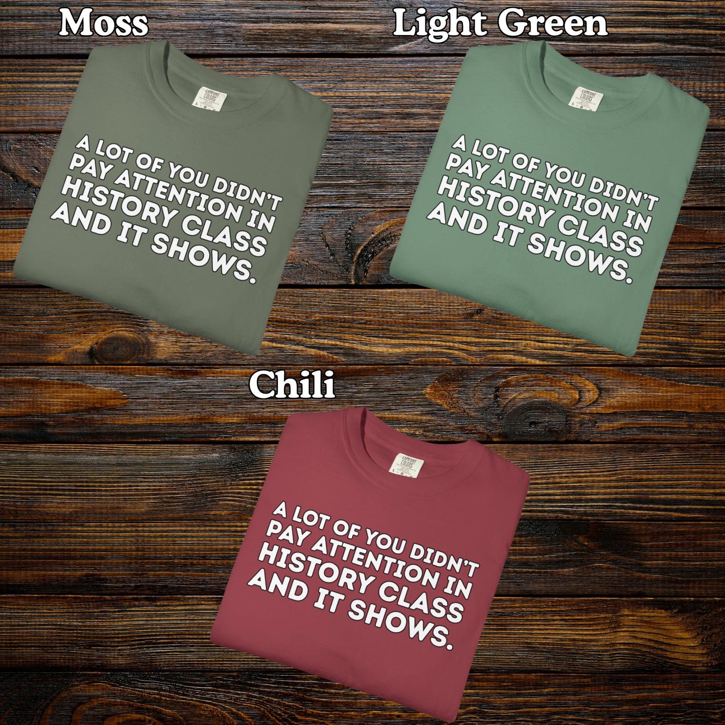 Didn't Pay Attention In History Class T Shirt, Anti MAGA Trump Tee, Progressive Liberal Feminist Tshirt, Political Leftist Shirt, FDT Gift
