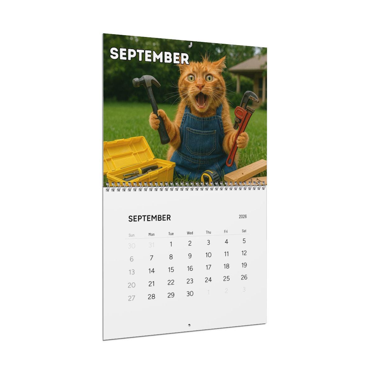 Orange Cat 2026 Wall Calendar, Funny Cat Mom Gift, Hilarious Witty Kitty Calendar, Christmas Gift, Unhinged Adult Humor, Kitten Lover Decor