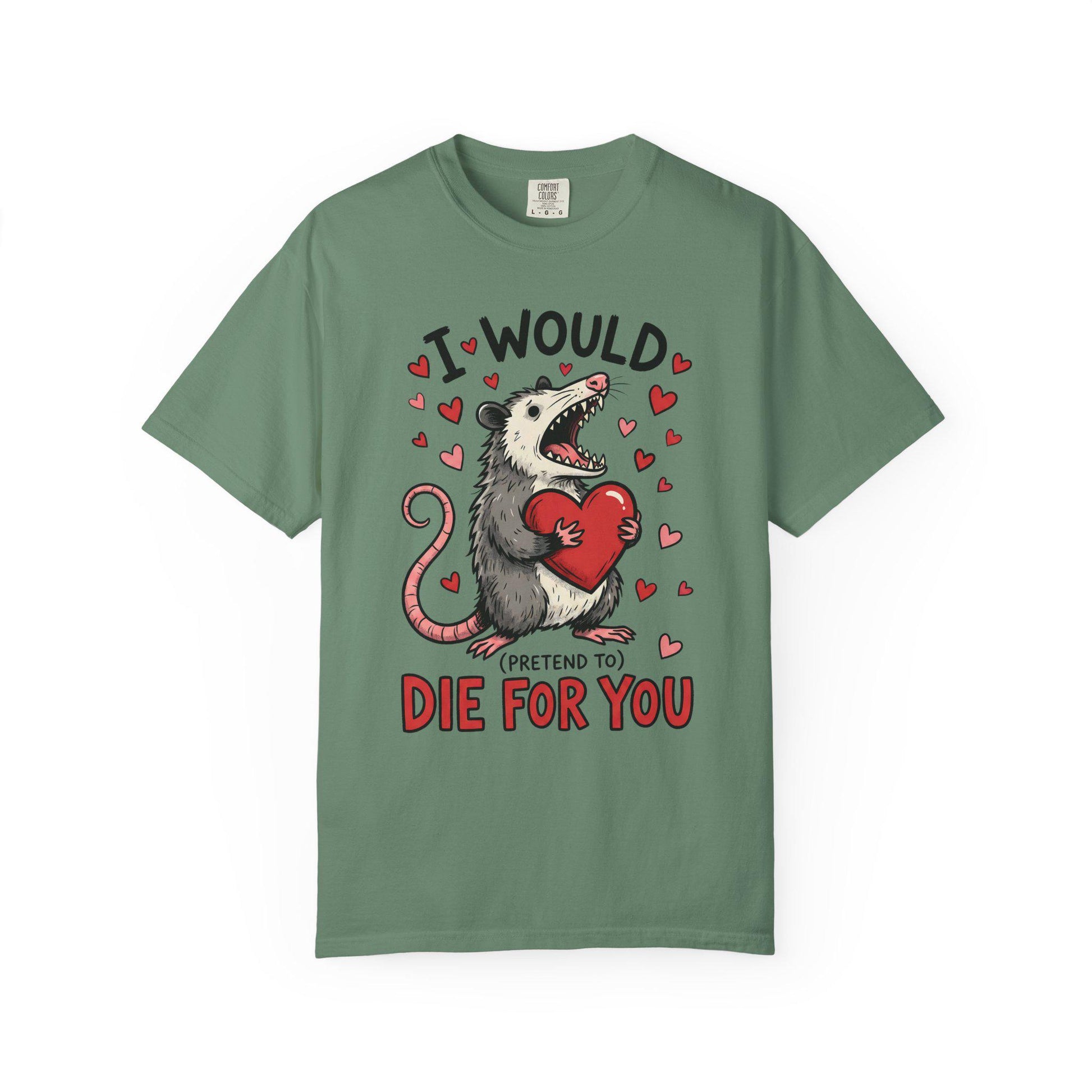 Funny Possum TShirt, Valentine’s Day Tee, Gag Gift Shirt, Animal Lover T-Shirt Idea