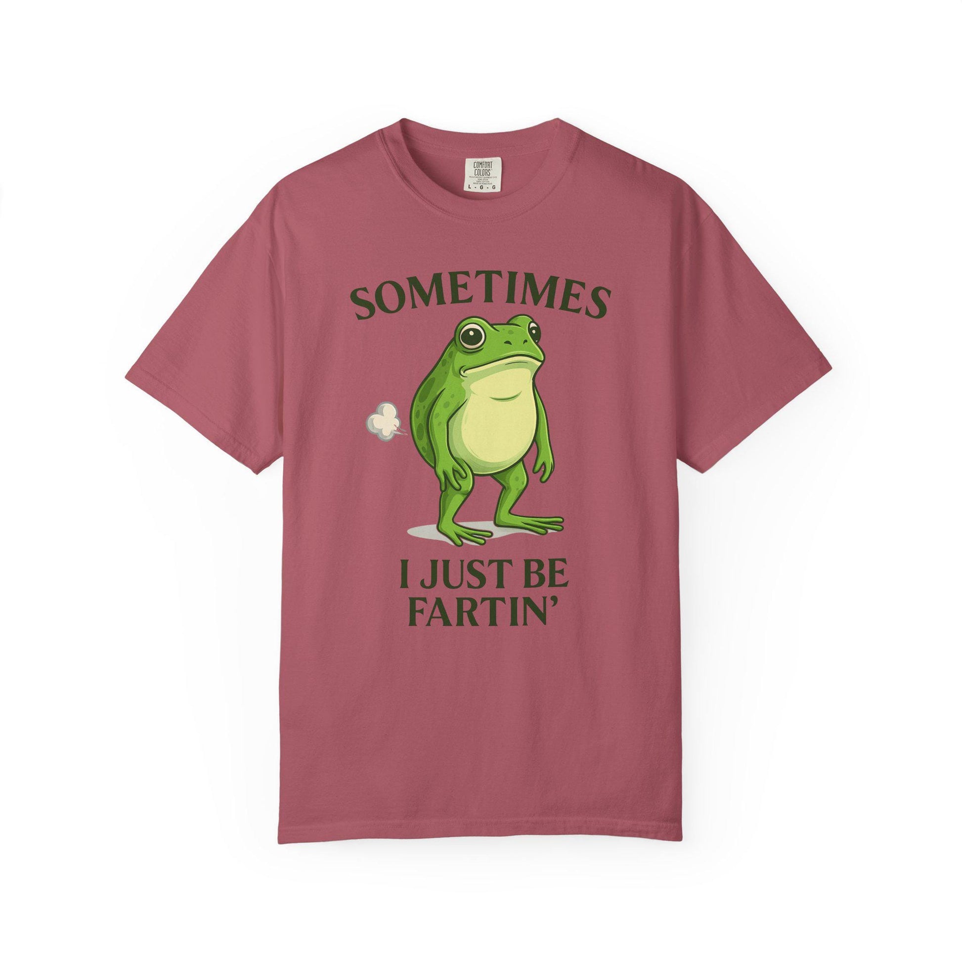 Farting Frog Tshirt, Hilarious Gag Gift Toad Shirt, Flatulence Tee, Goofy Meme Animal Lover T-Shirt