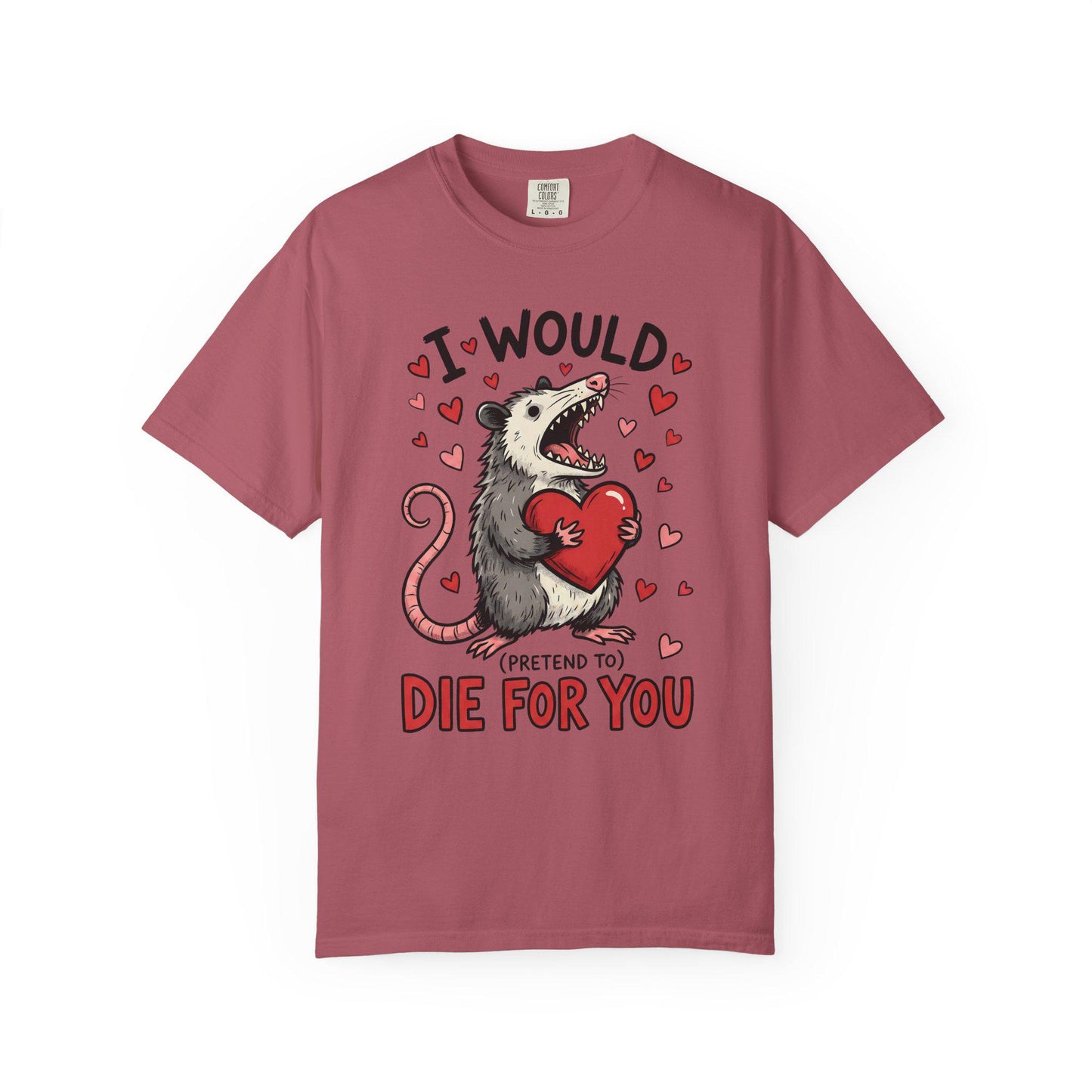 Funny Possum TShirt, Valentine’s Day Tee, Gag Gift Shirt, Animal Lover T-Shirt Idea