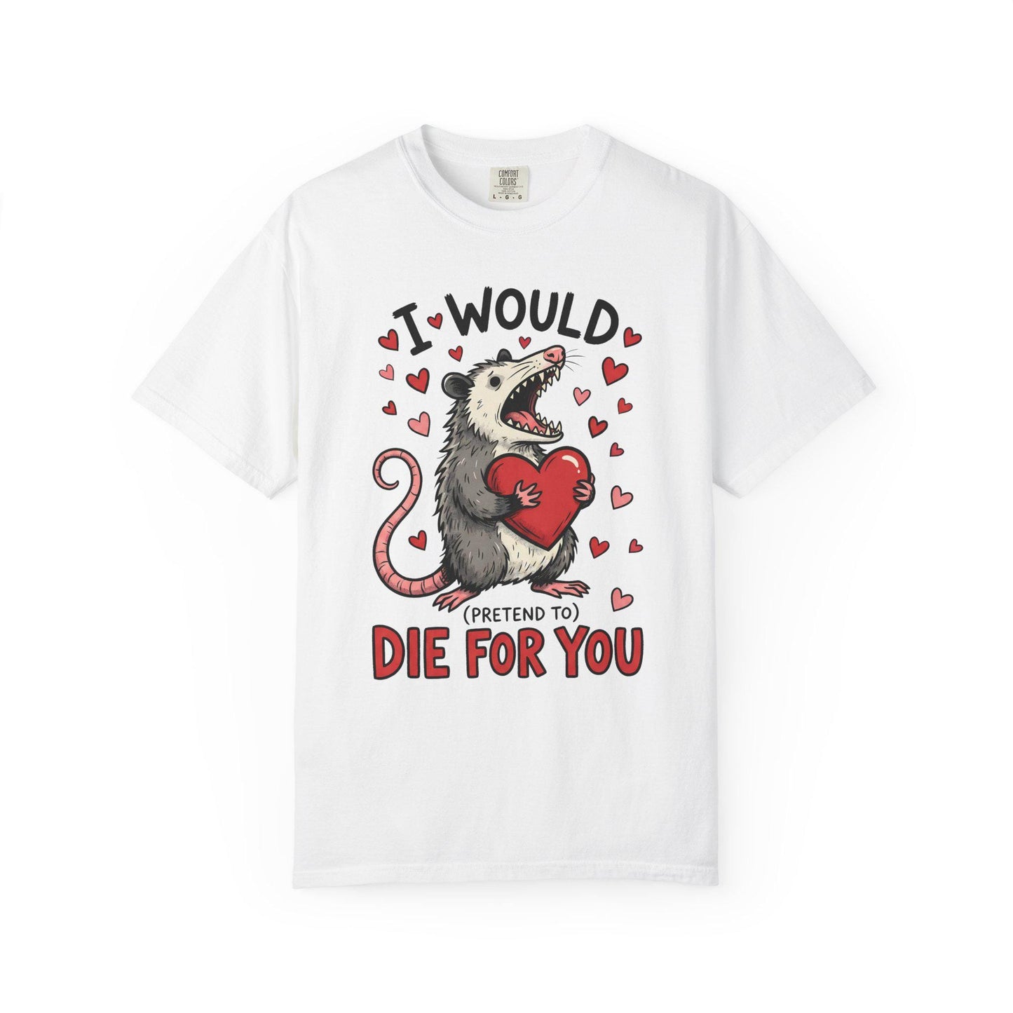 Funny Possum TShirt, Valentine’s Day Tee, Gag Gift Shirt, Animal Lover T-Shirt Idea