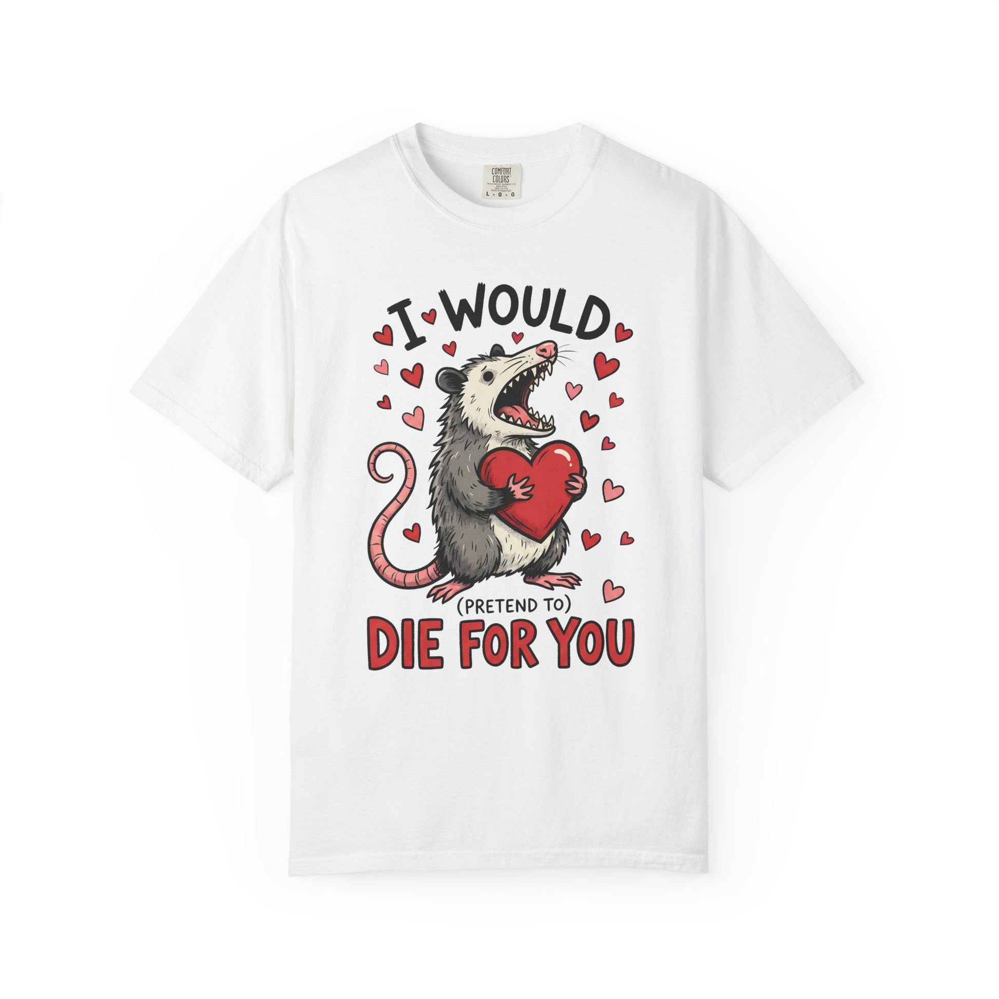 Funny Possum TShirt, Valentine’s Day Tee, Gag Gift Shirt, Animal Lover T-Shirt Idea