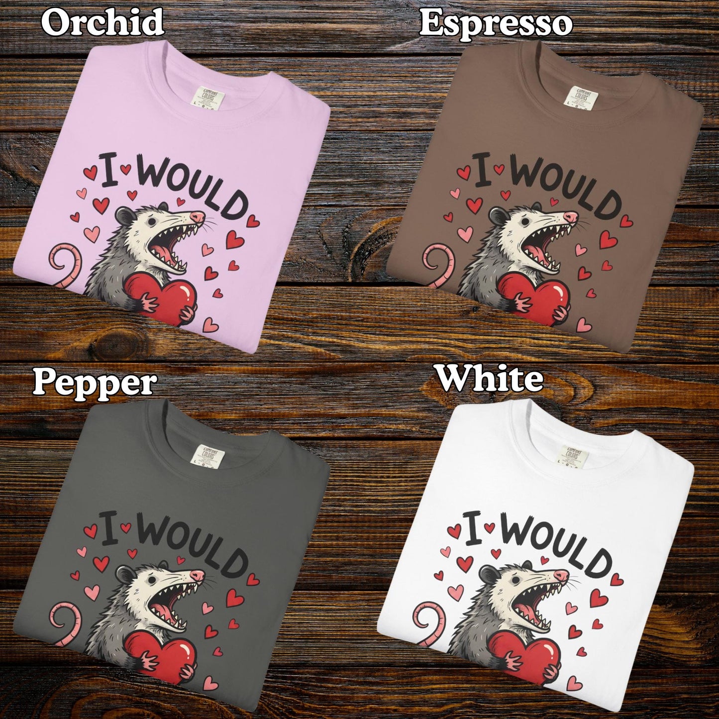 Funny Possum TShirt, Valentine’s Day Tee, Gag Gift Shirt, Animal Lover T-Shirt Idea