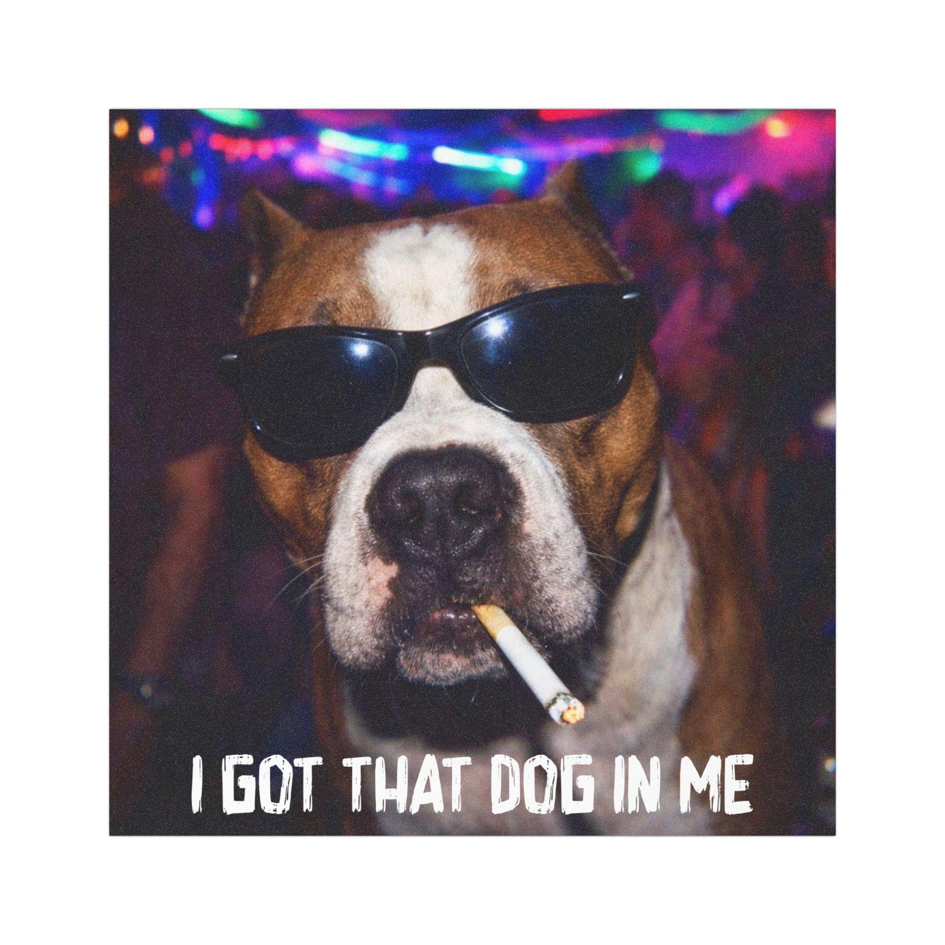 Funny Pitbull Car Magnet, Hilarious Smoking Night Club Dogs, Waterproof Party Animal Lover Gag Gift, I Got That Dog In Me y2k Meme Humor