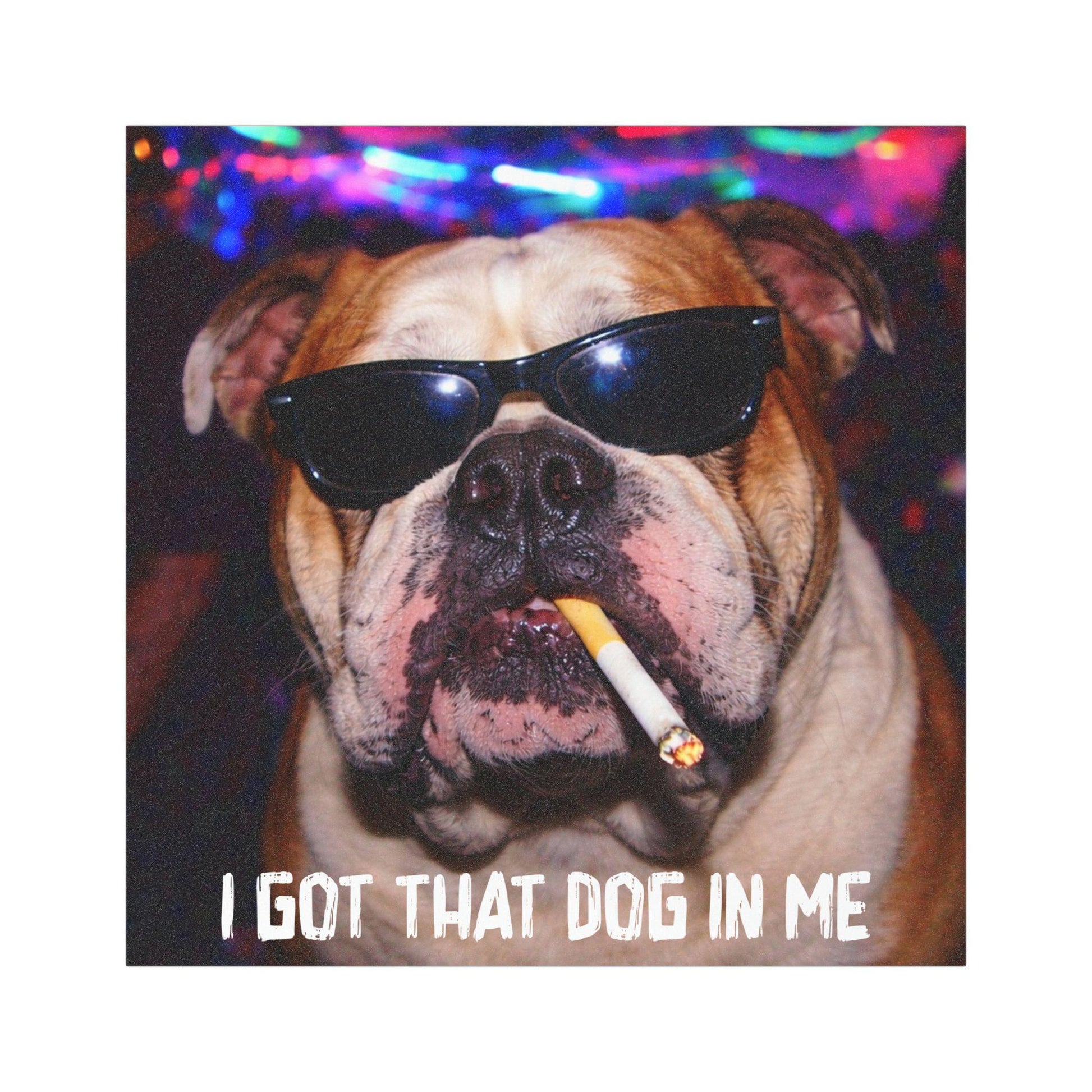 Funny English Bulldog Car Magnet, Hilarious Smoking Night Club Dogs, Waterproof Party Animal Lover Gag Gift, I Got That Dog In Me y2k Meme