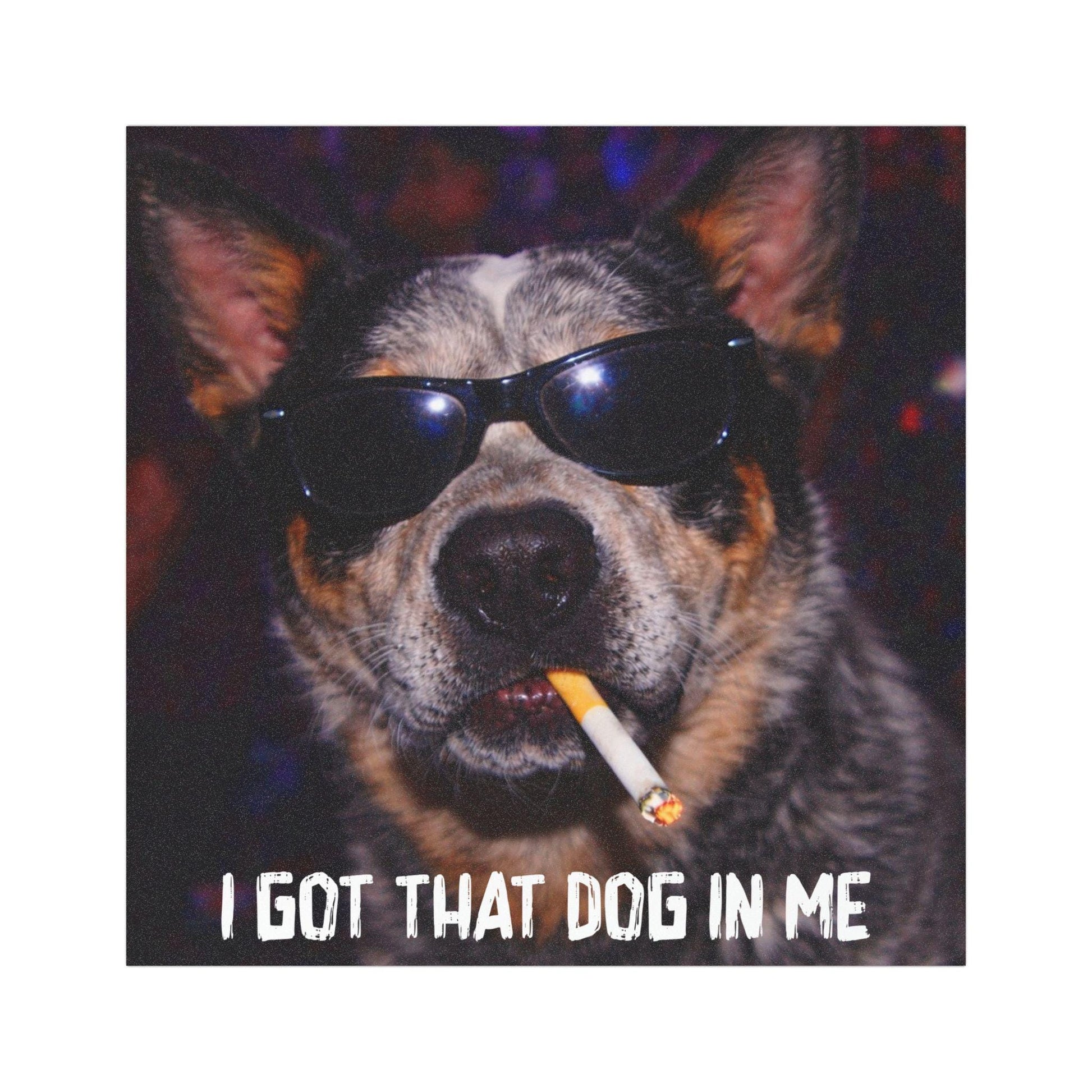 Funny Blue Heeler Car Magnet, Hilarious Smoking Night Club Cattle Dogs, Waterproof Party Animal Lover Gag Gift, I Got That Dog In Me y2k