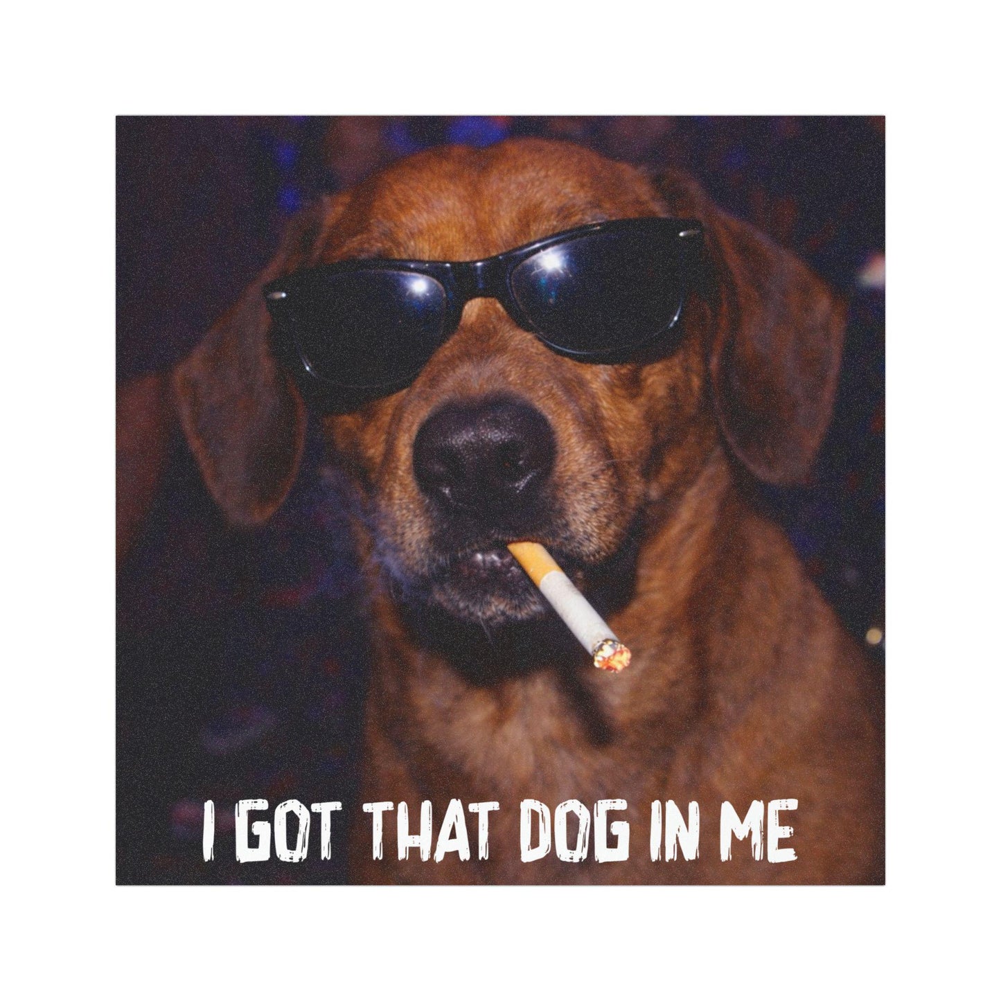 Funny Dachshund Car Magnet, Hilarious Smoking Night Club Dogs, Waterproof Party Animal Lover Gag Gift, I Got That Dog In Me y2k Meme Humor