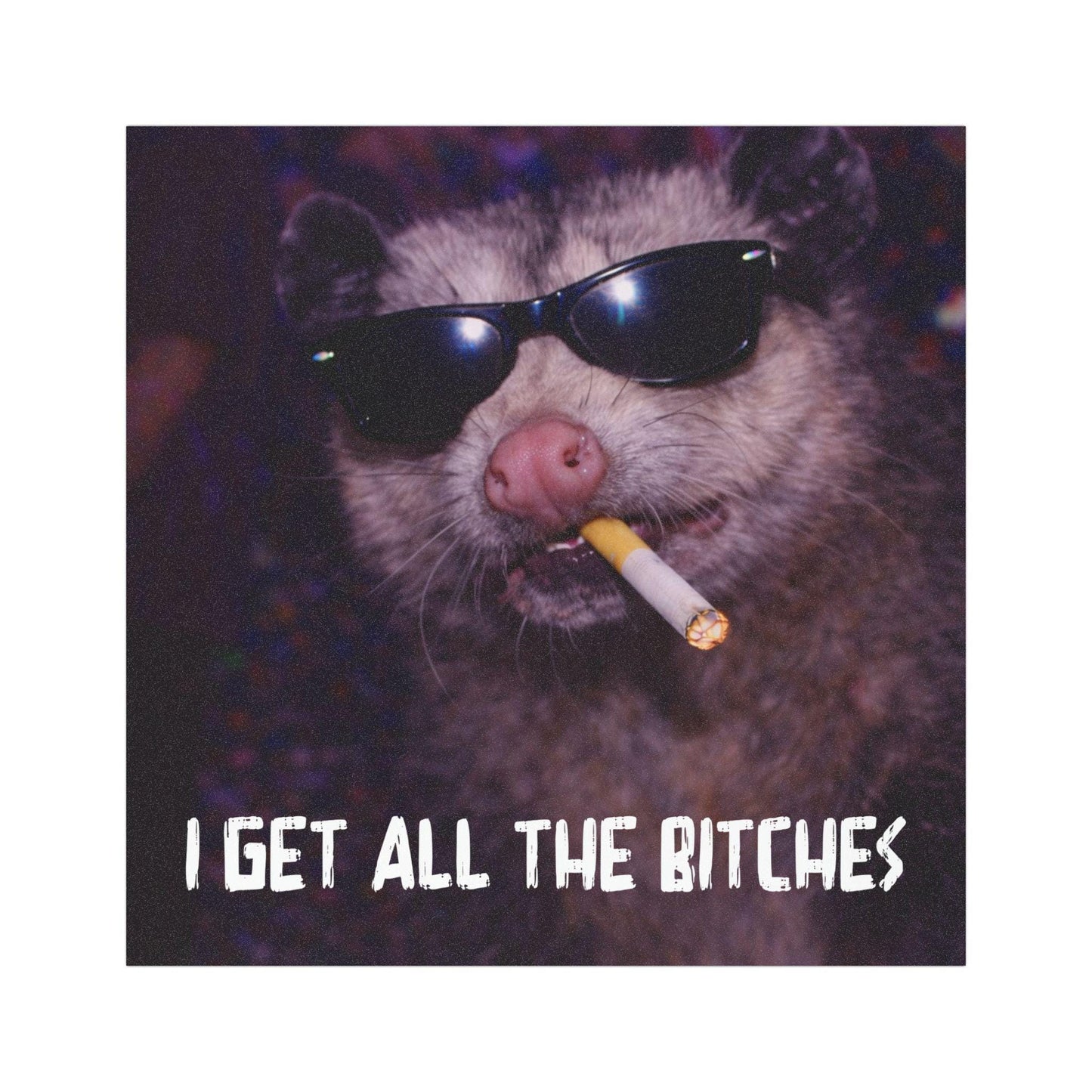 Funny Possum Car Magnet, Hilarious Smoking Night Club Opossum, Outdoor Waterproof Party Animal Lover Gag Gift, y2k I Get All The B*tches