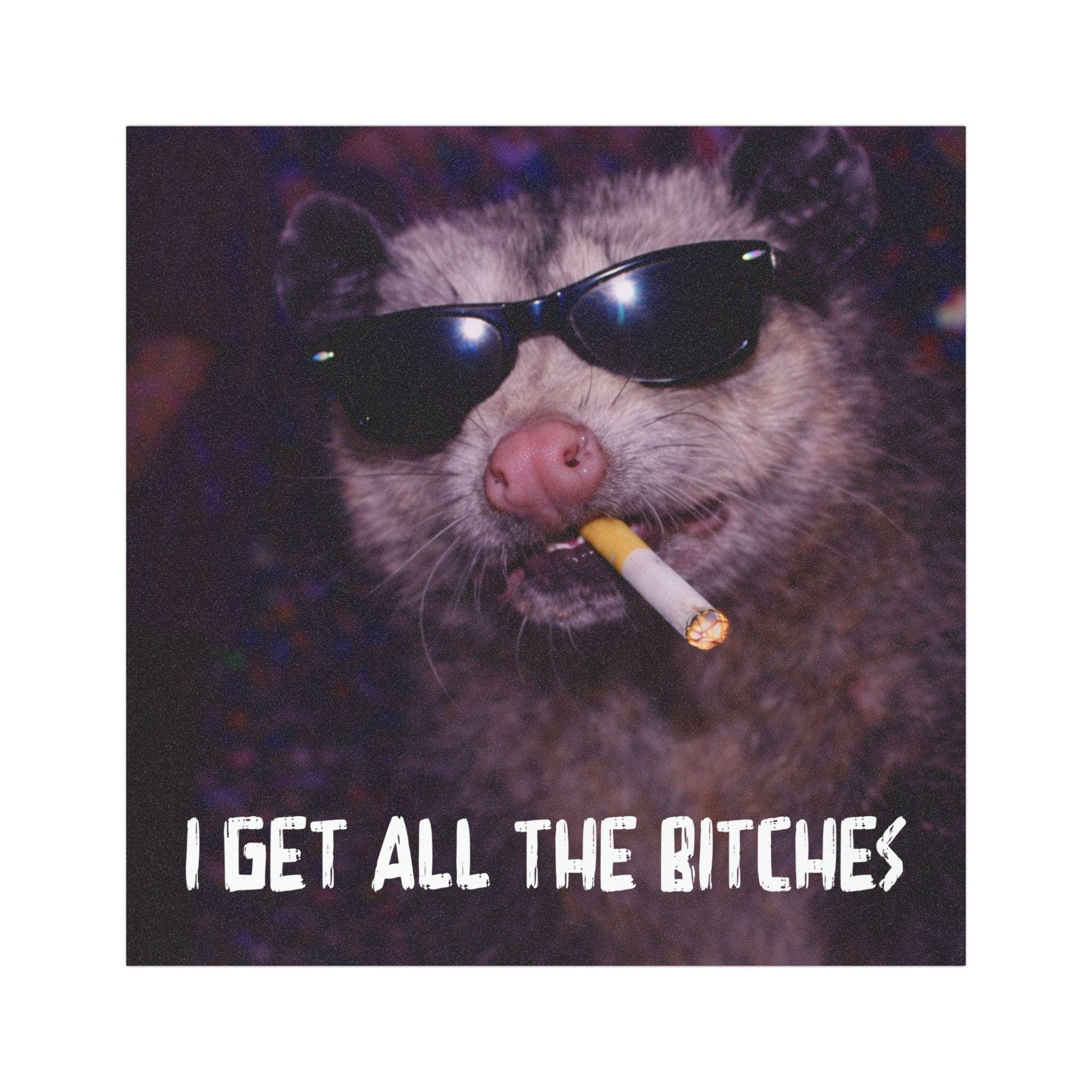 Funny Possum Car Magnet, Hilarious Smoking Night Club Opossum, Outdoor Waterproof Party Animal Lover Gag Gift, y2k I Get All The B*tches