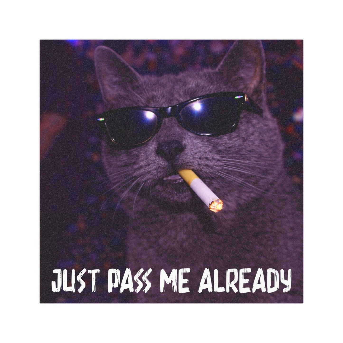 Funny Grey Cat Car Magnet, Hilarious Smoking Night Club Gray Cats, Waterproof Party Animal Lover Gag Gift, y2k Don't Tailgate Me Kitty