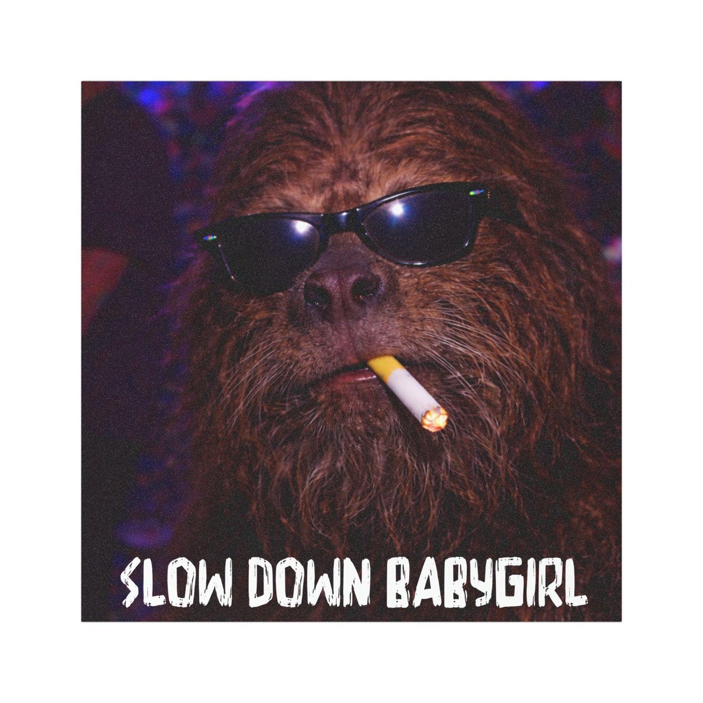 Funny Bigfoot Cat Car Magnet, Hilarious Smoking Night Club, Outdoor Waterproof Party Sasquatch Lover Gag Gift, y2k Slow Down Babygirl Joke