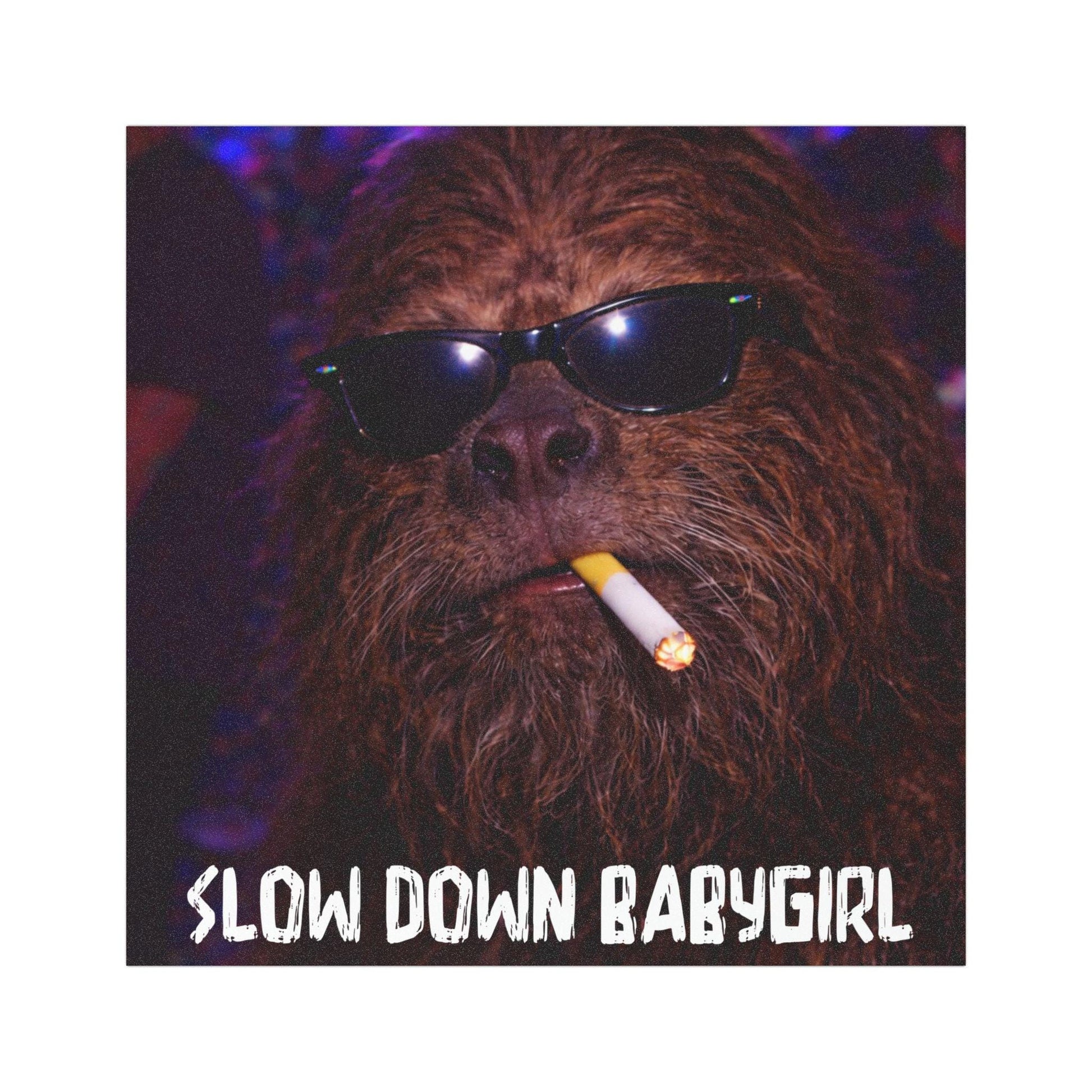 Funny Bigfoot Cat Car Magnet, Hilarious Smoking Night Club, Outdoor Waterproof Party Sasquatch Lover Gag Gift, y2k Slow Down Babygirl Joke