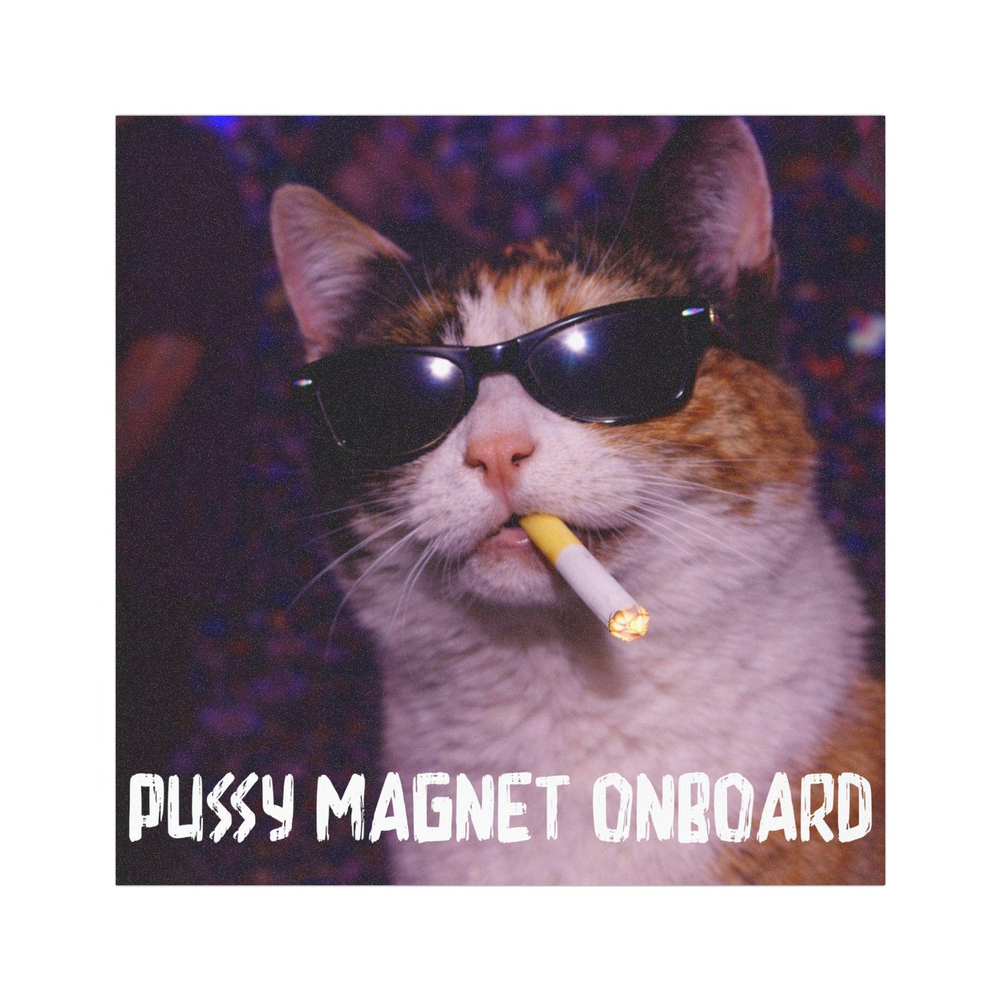 Funny Calico Cat Car Magnet, Hilarious Smoking Night Club Cats, Outdoor Waterproof Party Animal Lover Gag Gift, y2k Don't Tailgate Me Kitty