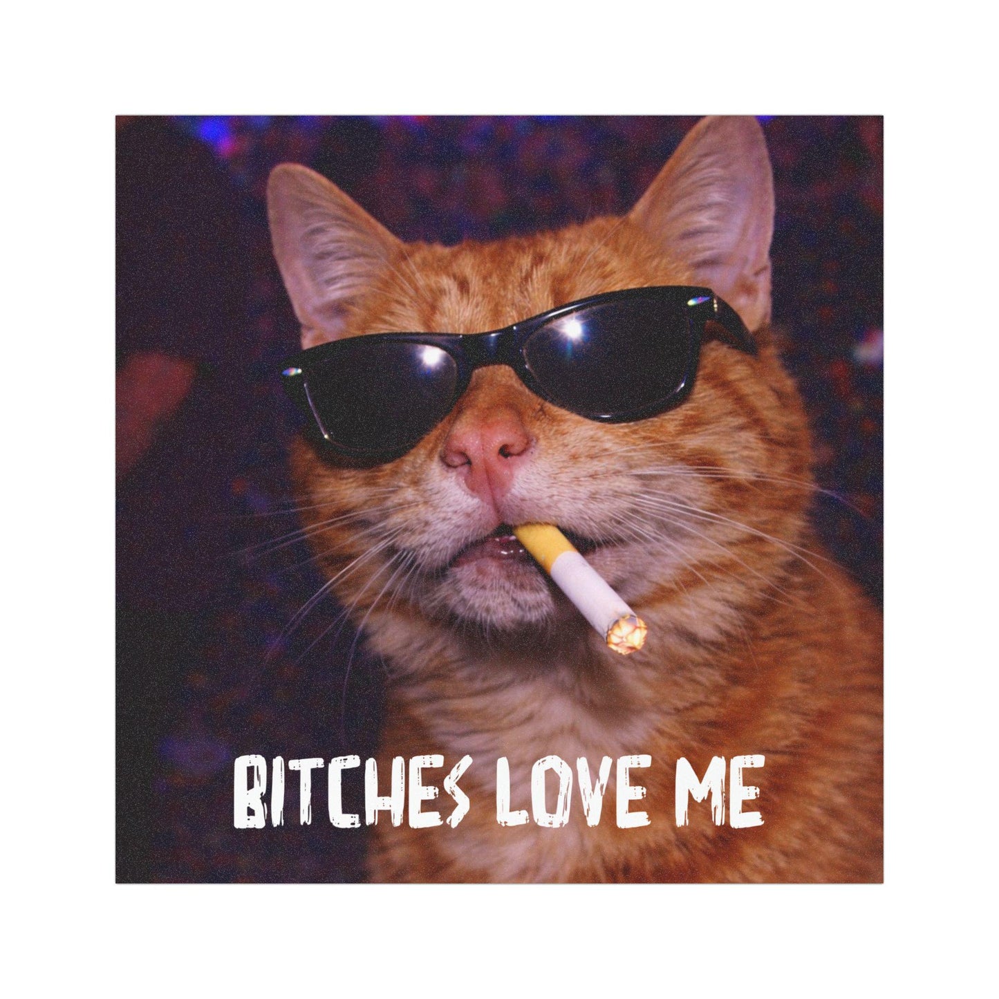 Funny Orange Cat Car Magnet, Hilarious Smoking Night Club Cats, Outdoor Waterproof Party Animal Lover Gag Gift, y2k Don't Tailgate Me Kitty