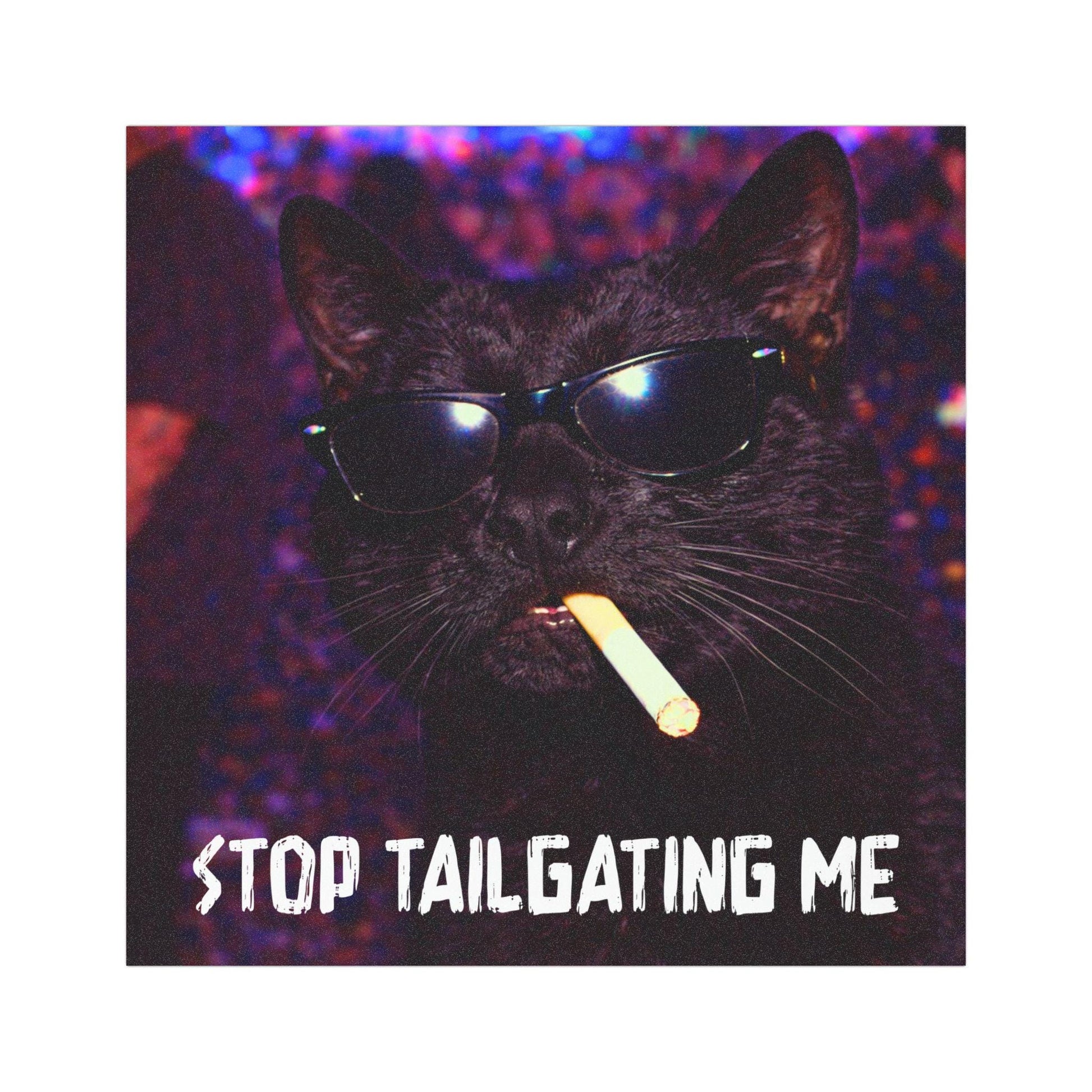 Funny Black Cat Car Magnet, Hilarious Smoking Night Club Cats, Outdoor Waterproof Party Animal Lover Gag Gift, y2k Don't Tailgate Me Kitty