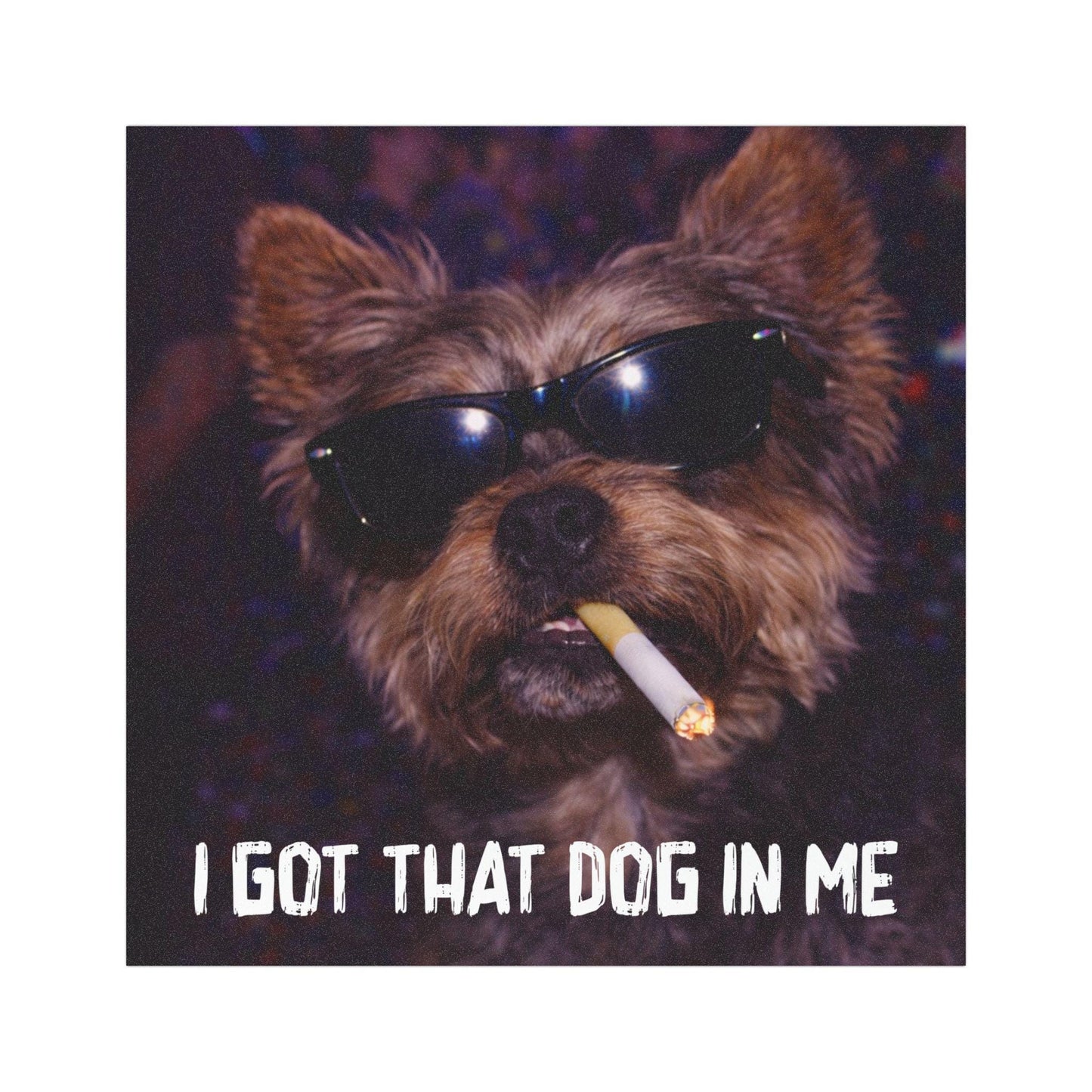 Funny Yorkie Car Magnet, Hilarious Smoking Night Club Yorkshire Terrier, Waterproof Party Animal Lover Gift, I Got That Dog In Me y2k Dawg