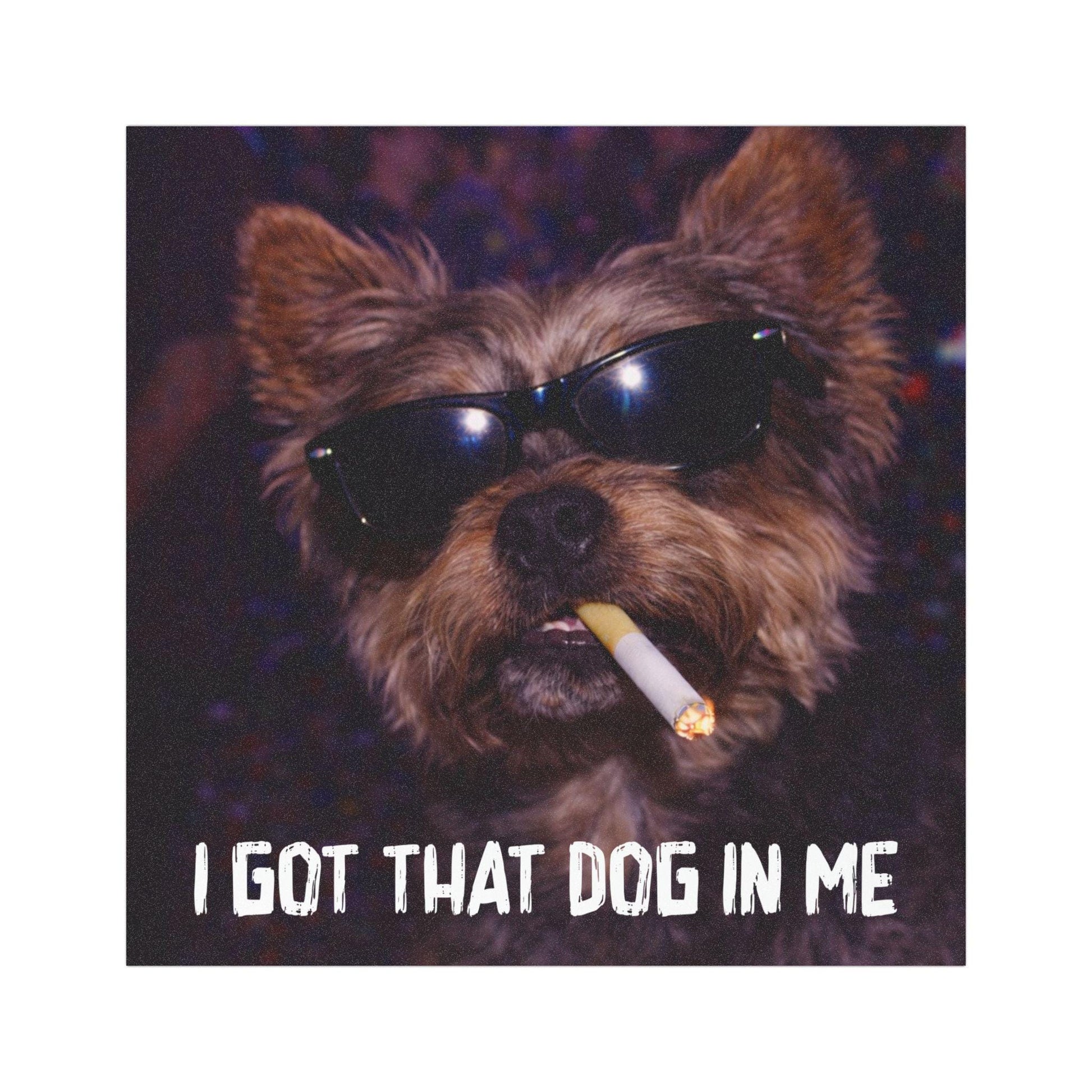 Funny Yorkie Car Magnet, Hilarious Smoking Night Club Yorkshire Terrier, Waterproof Party Animal Lover Gift, I Got That Dog In Me y2k Dawg