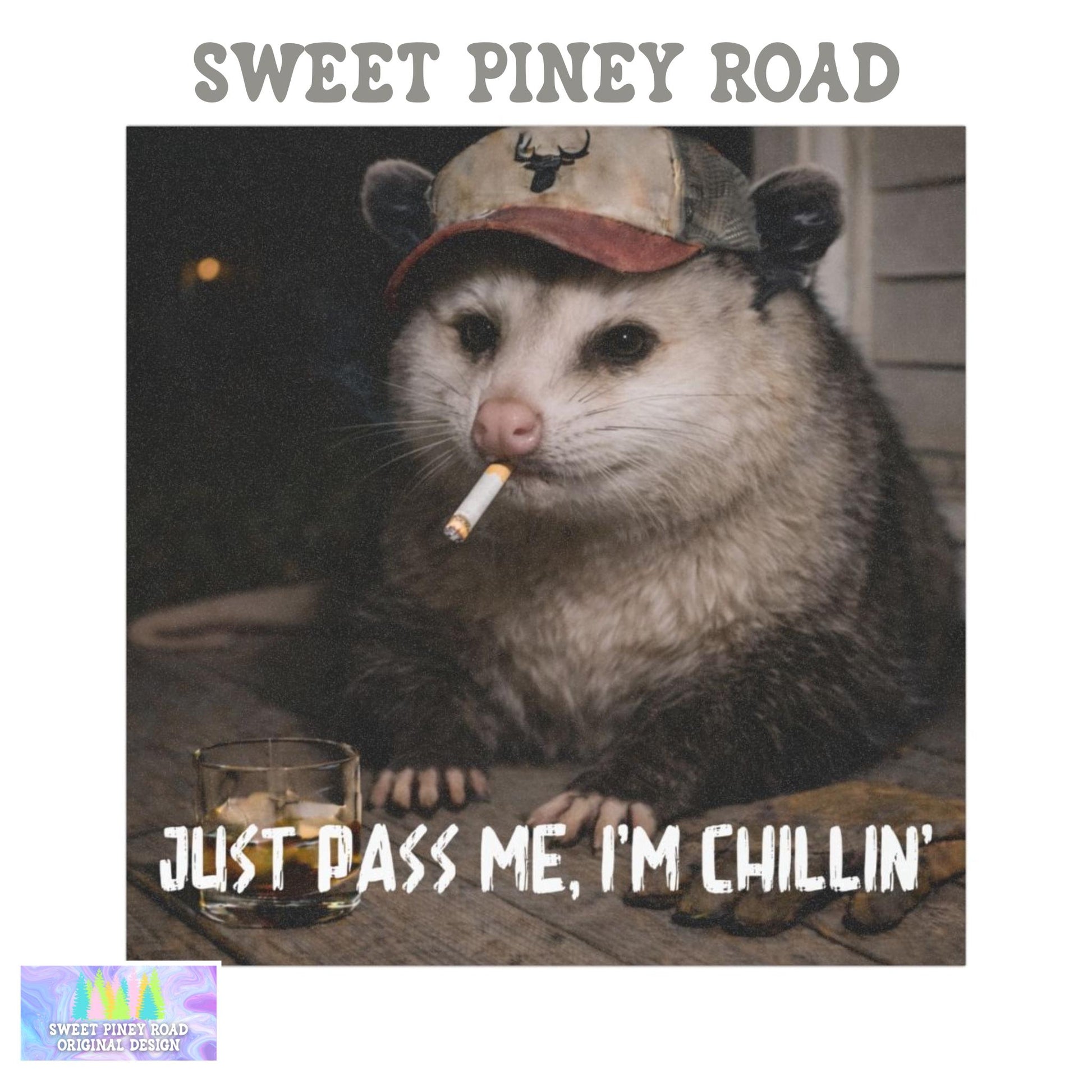 Funny Possum Car Magnet, Hilarious Smoking Country Themed Opossum, Outdoor Waterproof Animal Lover Gag Gift, Just Pass Me Already Im Chillin