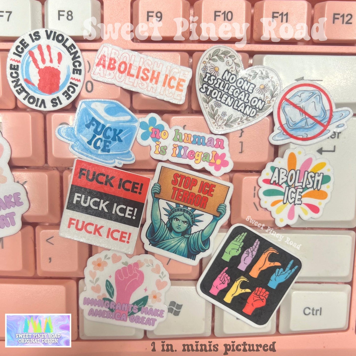 F*ck ICE Sticker Pack 15/30/50/100 pc STICKERS (1 or 2in.) Glossy! Abolish ICE Stickers, Chinga La Migra, Anti Trump Pro Immigration