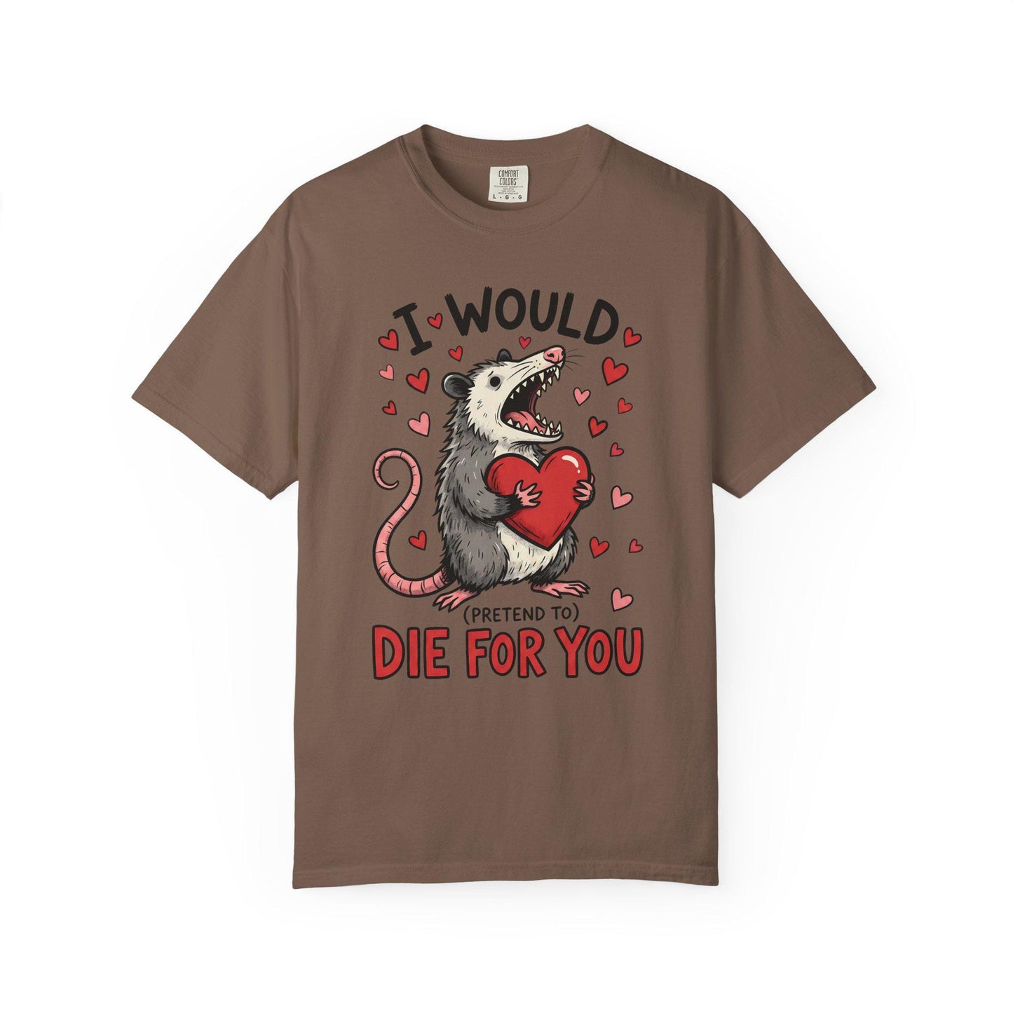 Funny Possum TShirt, Valentine’s Day Tee, Gag Gift Shirt, Animal Lover T-Shirt Idea