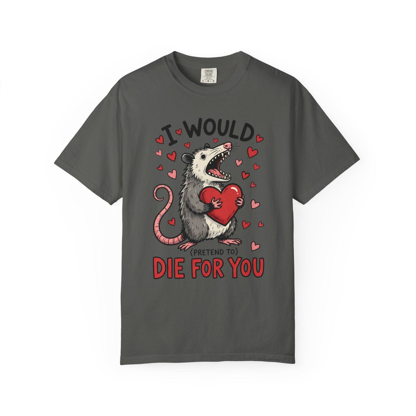 Funny Possum TShirt, Valentine’s Day Tee, Gag Gift Shirt, Animal Lover T-Shirt Idea