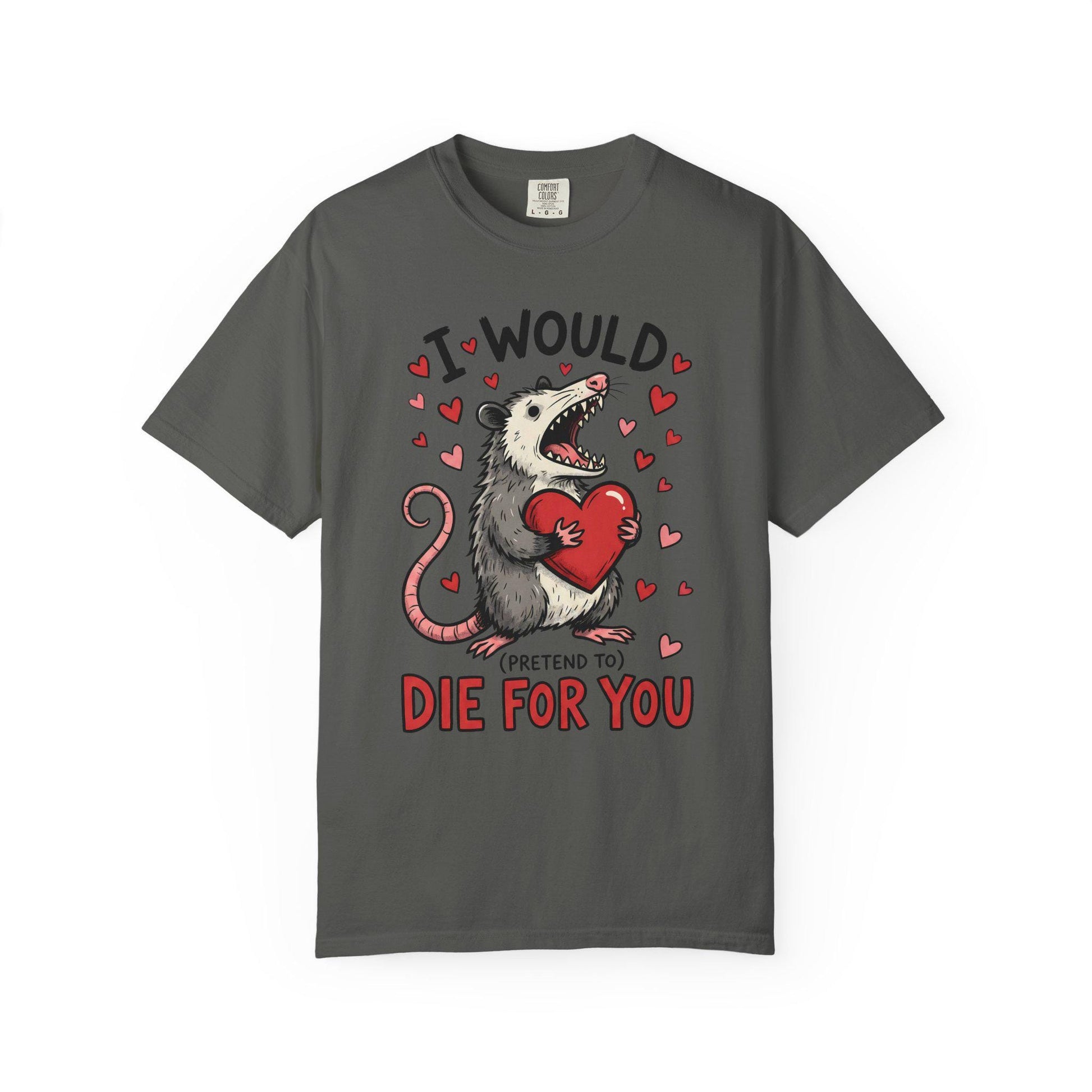 Funny Possum TShirt, Valentine’s Day Tee, Gag Gift Shirt, Animal Lover T-Shirt Idea